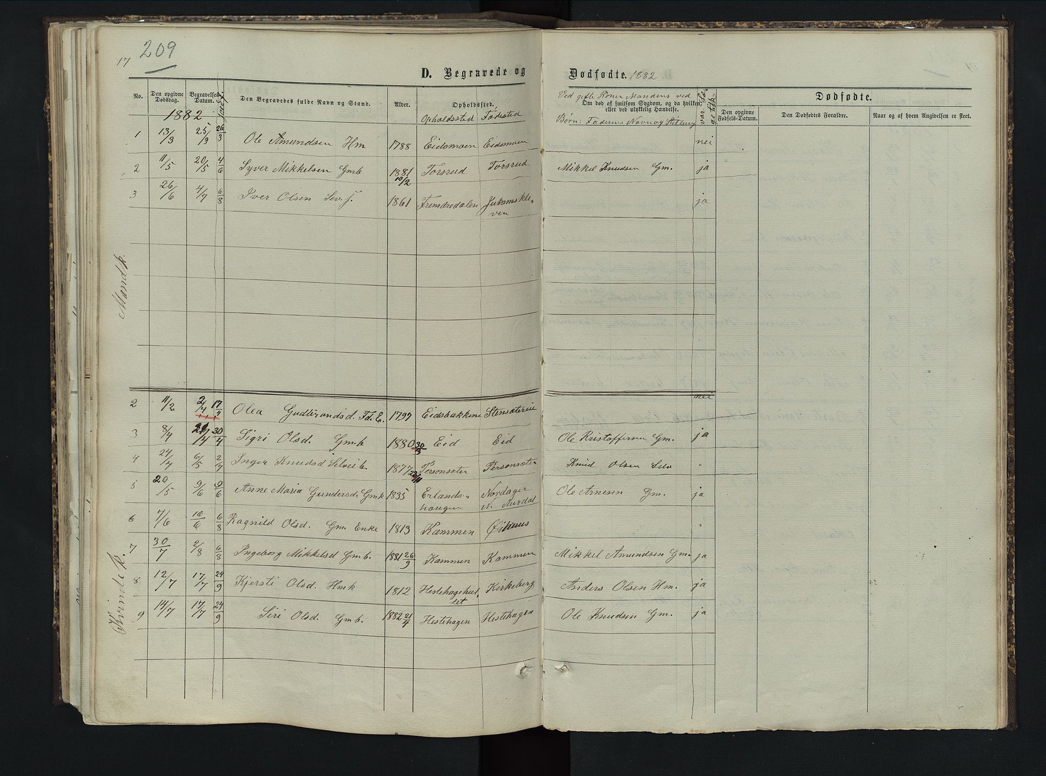 Sør-Aurdal prestekontor, SAH/PREST-128/H/Ha/Hab/L0005: Parish register (copy) no. 5, 1866-1893, p. 209