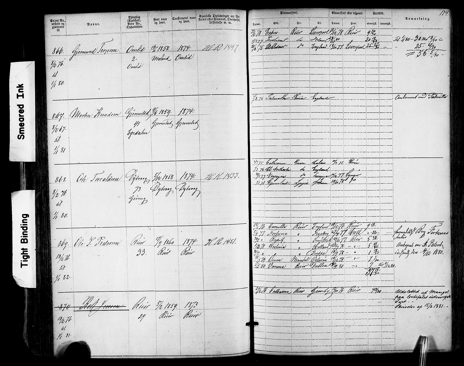 Risør mønstringskrets, AV/SAK-2031-0010/F/Fa/L0003: Annotasjonsrulle nr 1-1913 med register, T-7, 1863-1899, p. 110