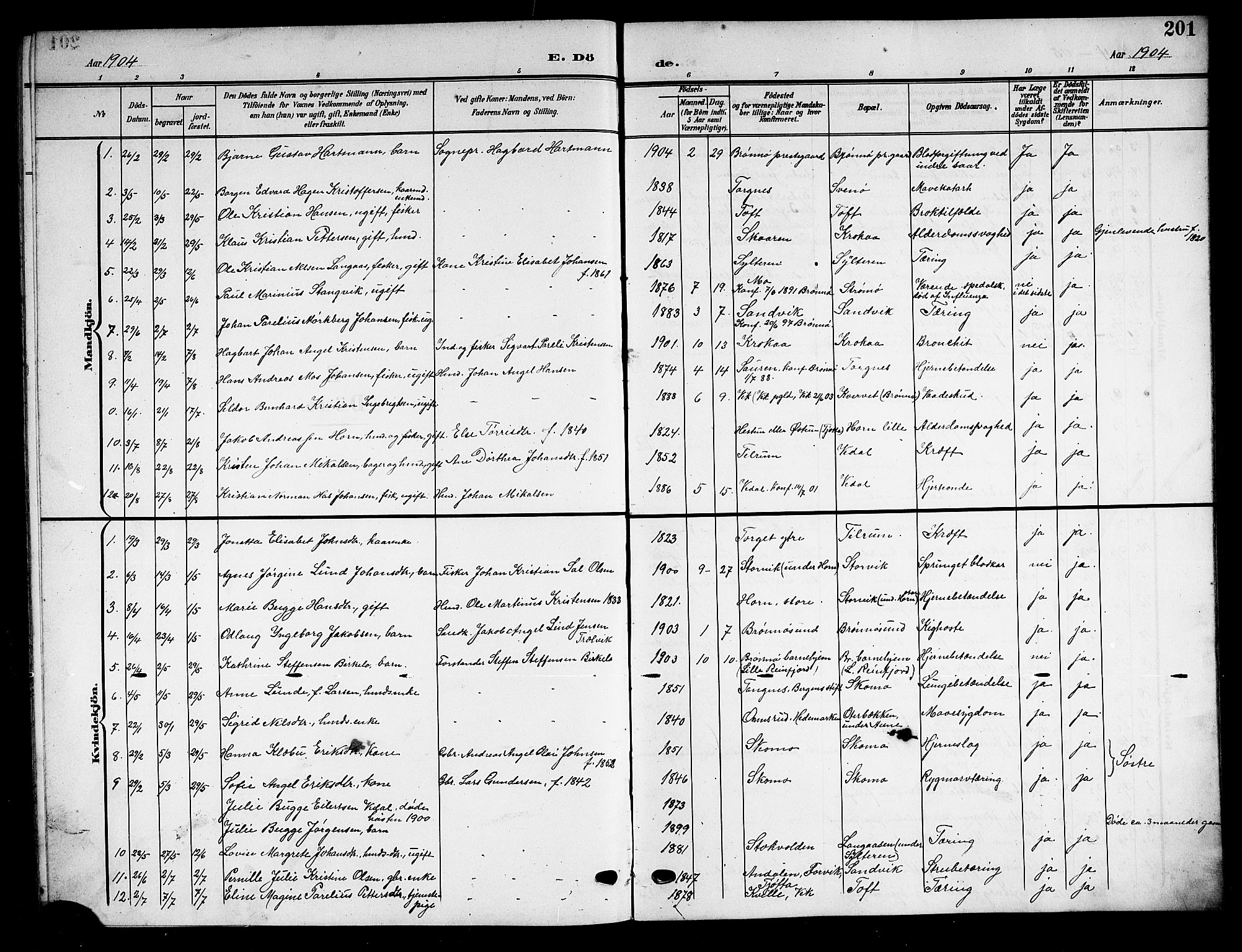 Ministerialprotokoller, klokkerbøker og fødselsregistre - Nordland, SAT/A-1459/813/L0214: Parish register (copy) no. 813C06, 1904-1917, p. 201