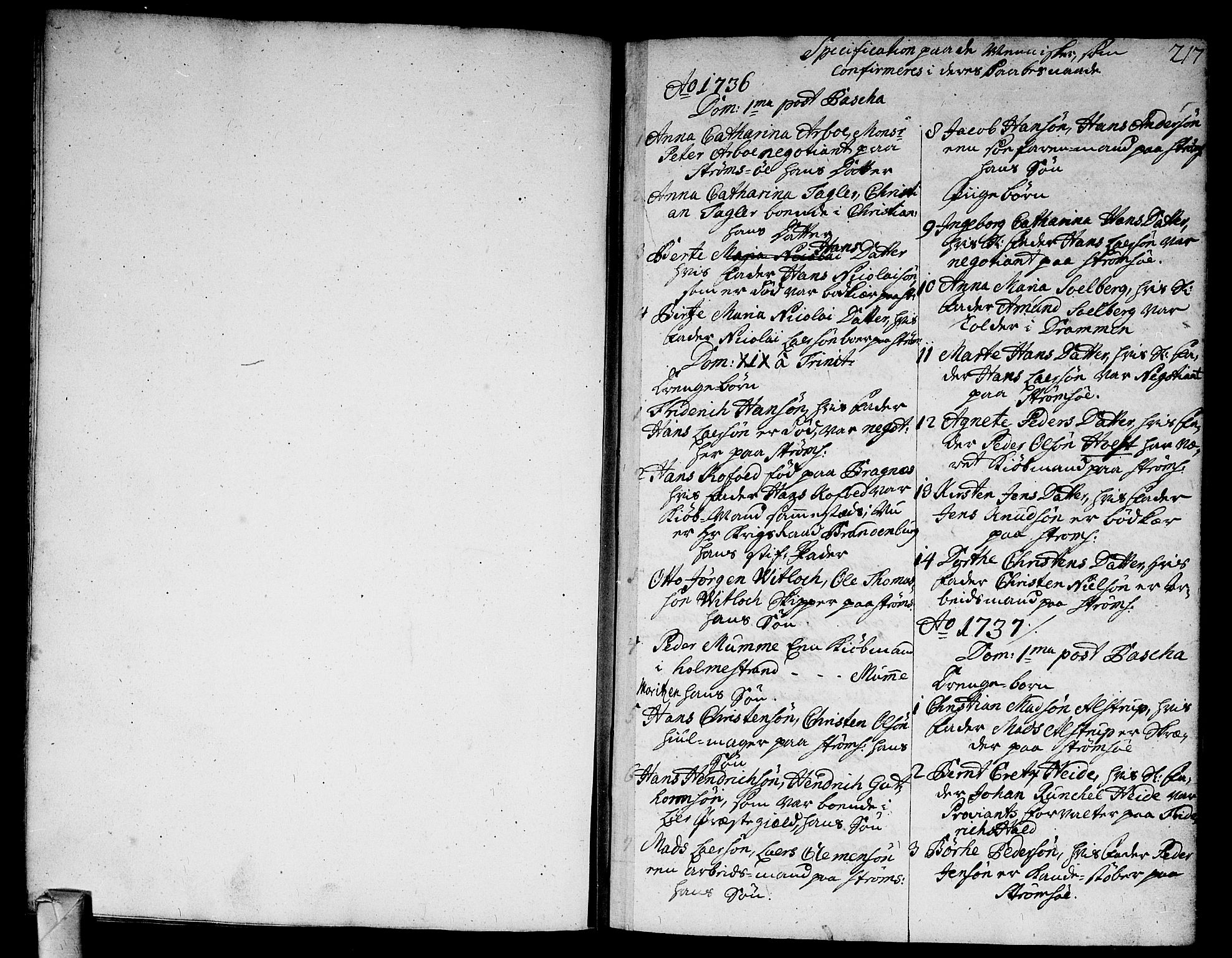 Strømsø kirkebøker, SAKO/A-246/F/Fa/L0005: Parish register (official) no. I 5, 1734-1739, p. 217