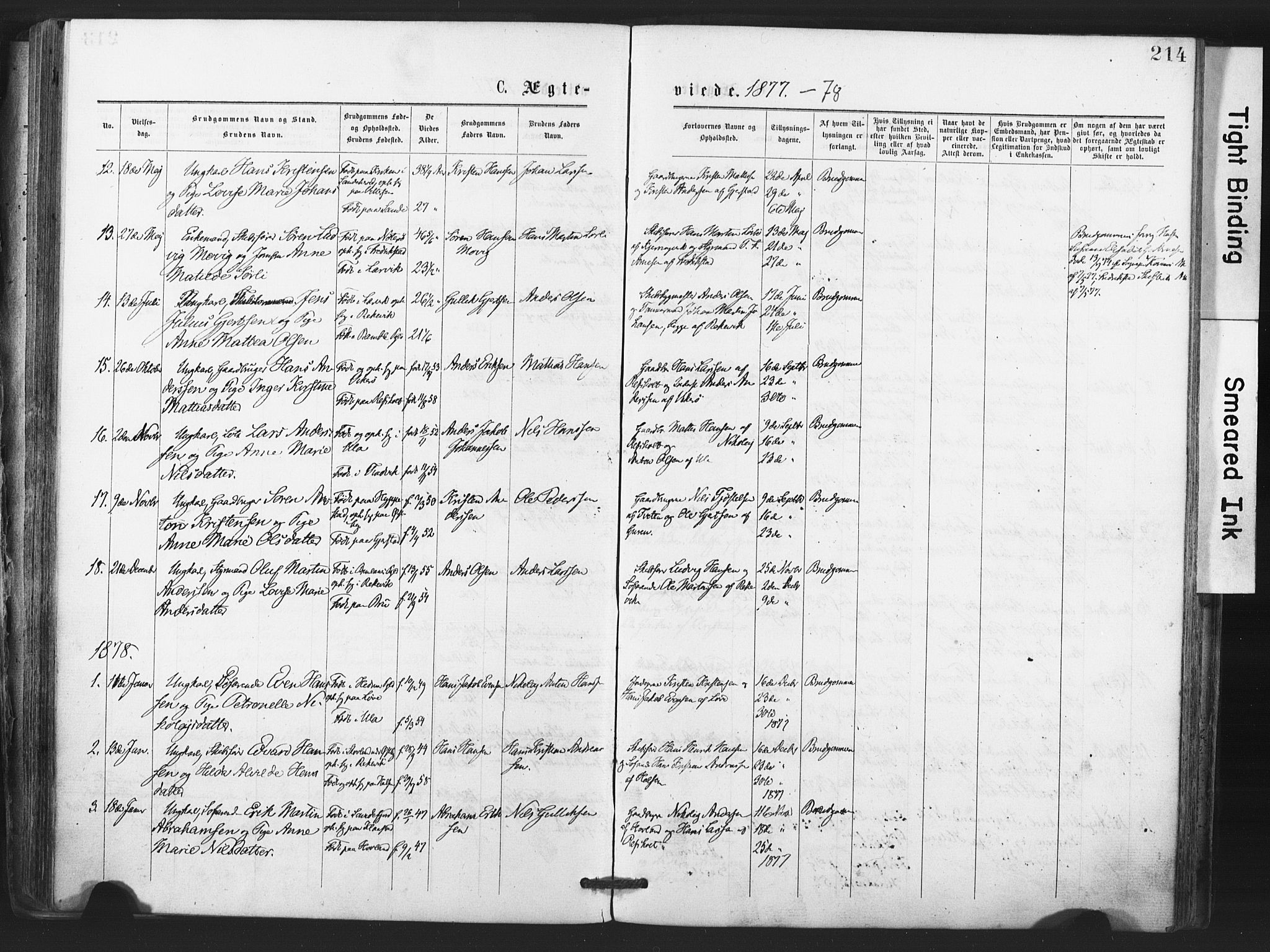 Tjølling kirkebøker, AV/SAKO-A-60/F/Fa/L0008: Parish register (official) no. 8, 1877-1886, p. 214