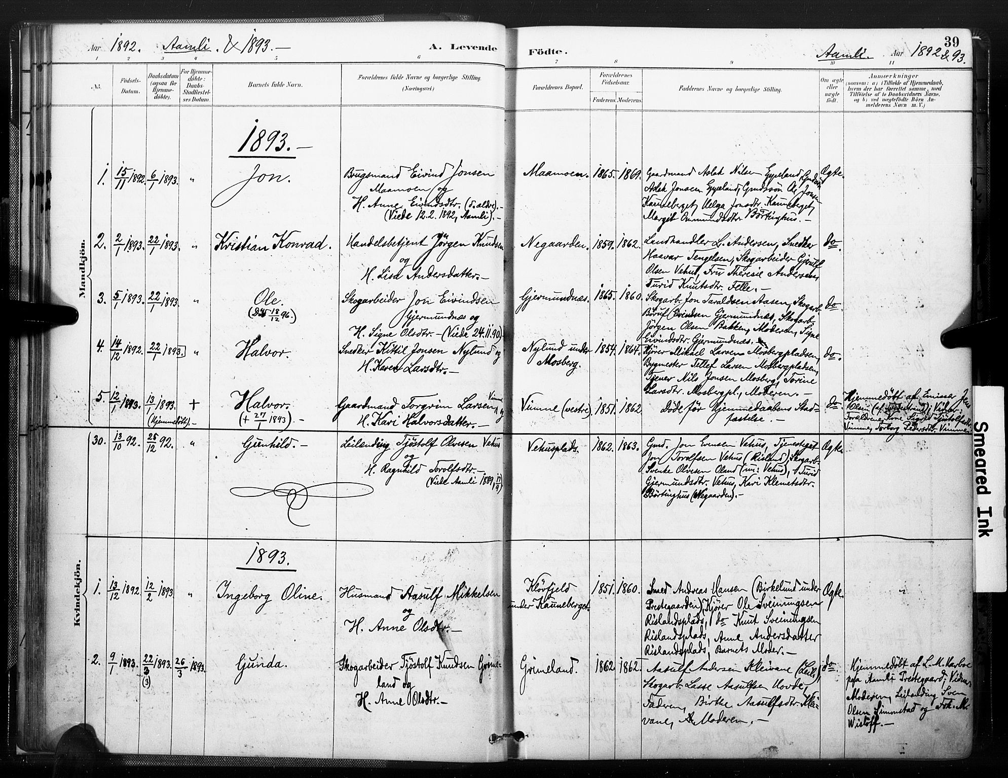 Åmli sokneprestkontor, AV/SAK-1111-0050/F/Fa/Fac/L0010: Parish register (official) no. A 10 /1, 1885-1899, p. 39