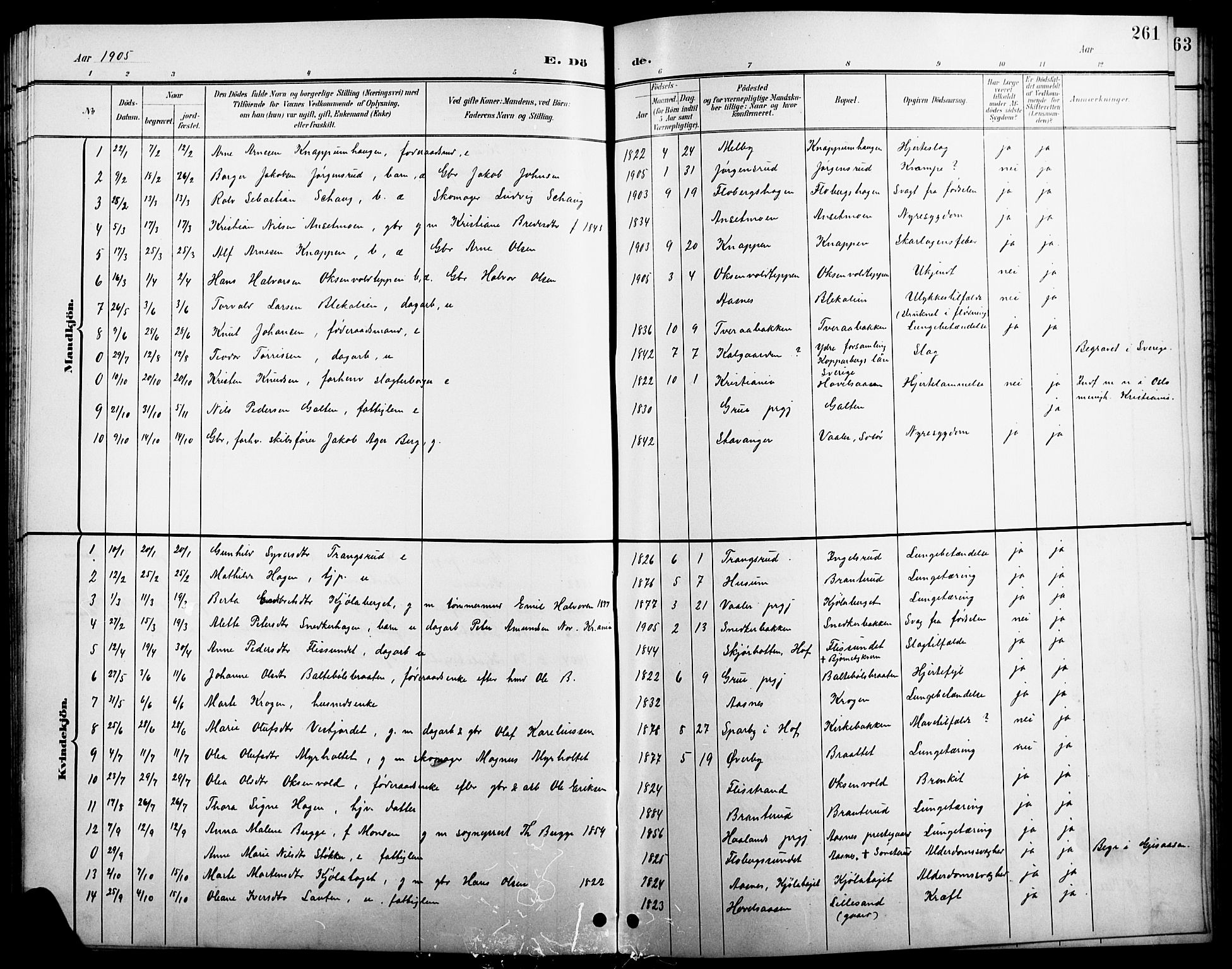 Åsnes prestekontor, AV/SAH-PREST-042/H/Ha/Hab/L0004: Parish register (copy) no. 4, 1895-1909, p. 261