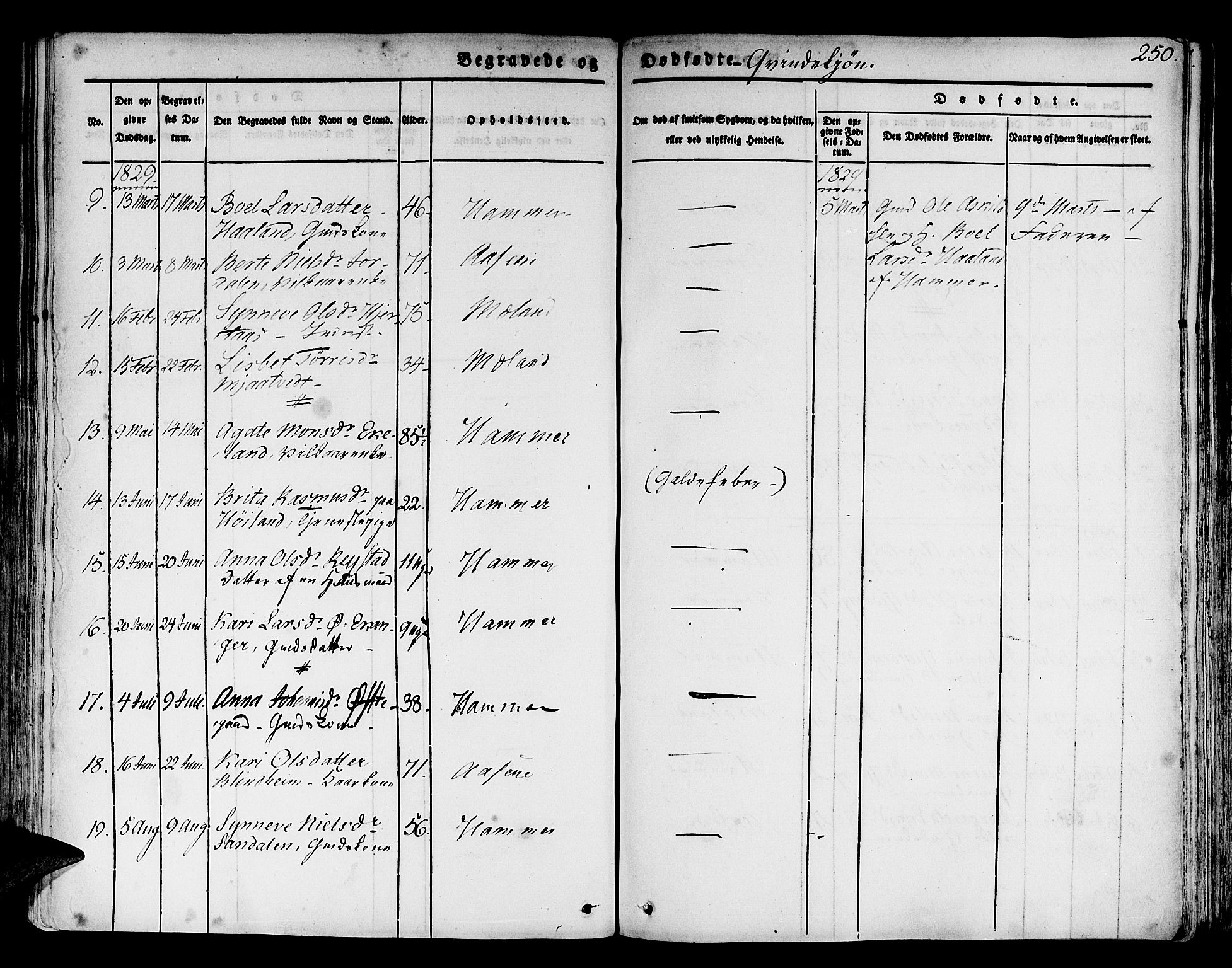 Hamre sokneprestembete, AV/SAB-A-75501/H/Ha/Haa/Haaa/L0011: Parish register (official) no. A 11, 1826-1834, p. 250