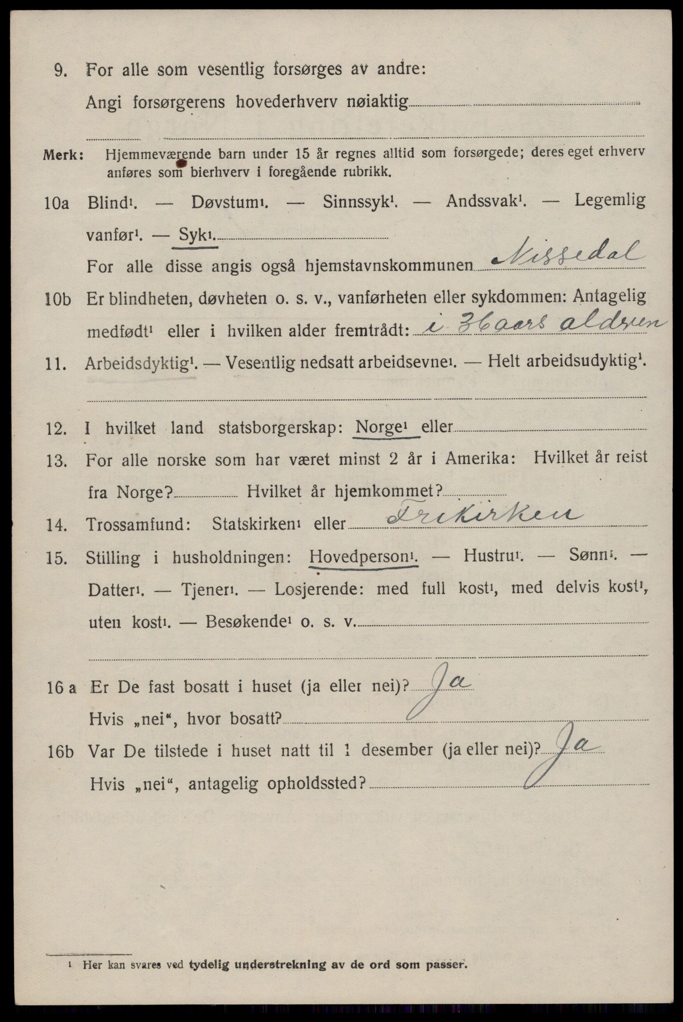 SAKO, 1920 census for Nissedal, 1920, p. 1264
