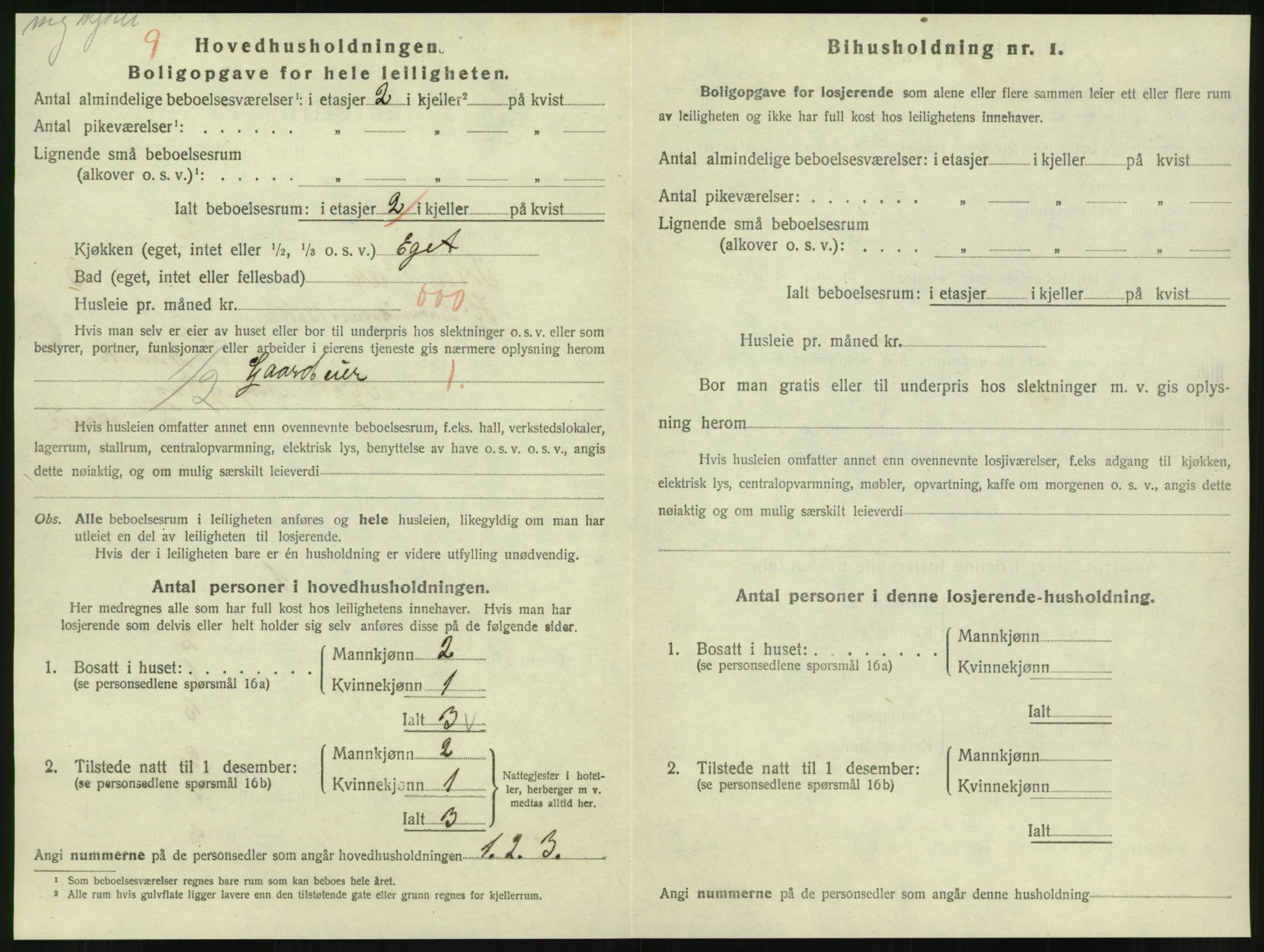 SAT, 1920 census for Steinkjer, 1920, p. 2063