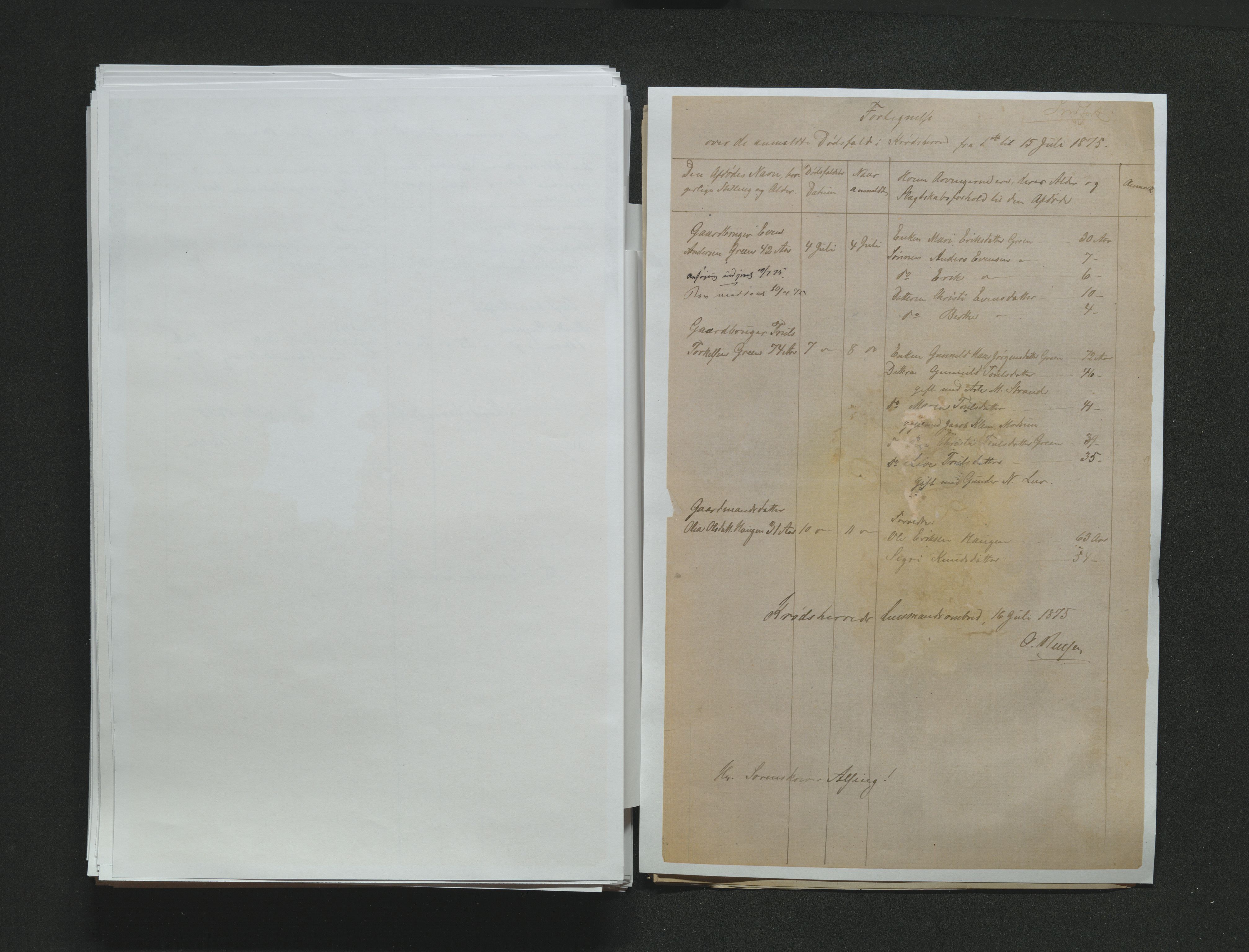 Eiker, Modum og Sigdal sorenskriveri, AV/SAKO-A-123/H/Ha/Hab/L0014: Dødsfallsmeldinger, 1874-1877, p. 339
