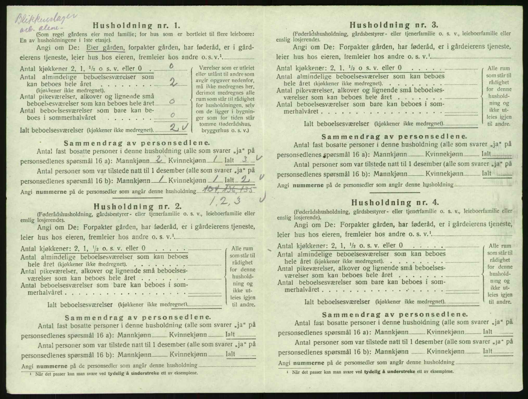 SAK, 1920 census for Hylestad, 1920, p. 229