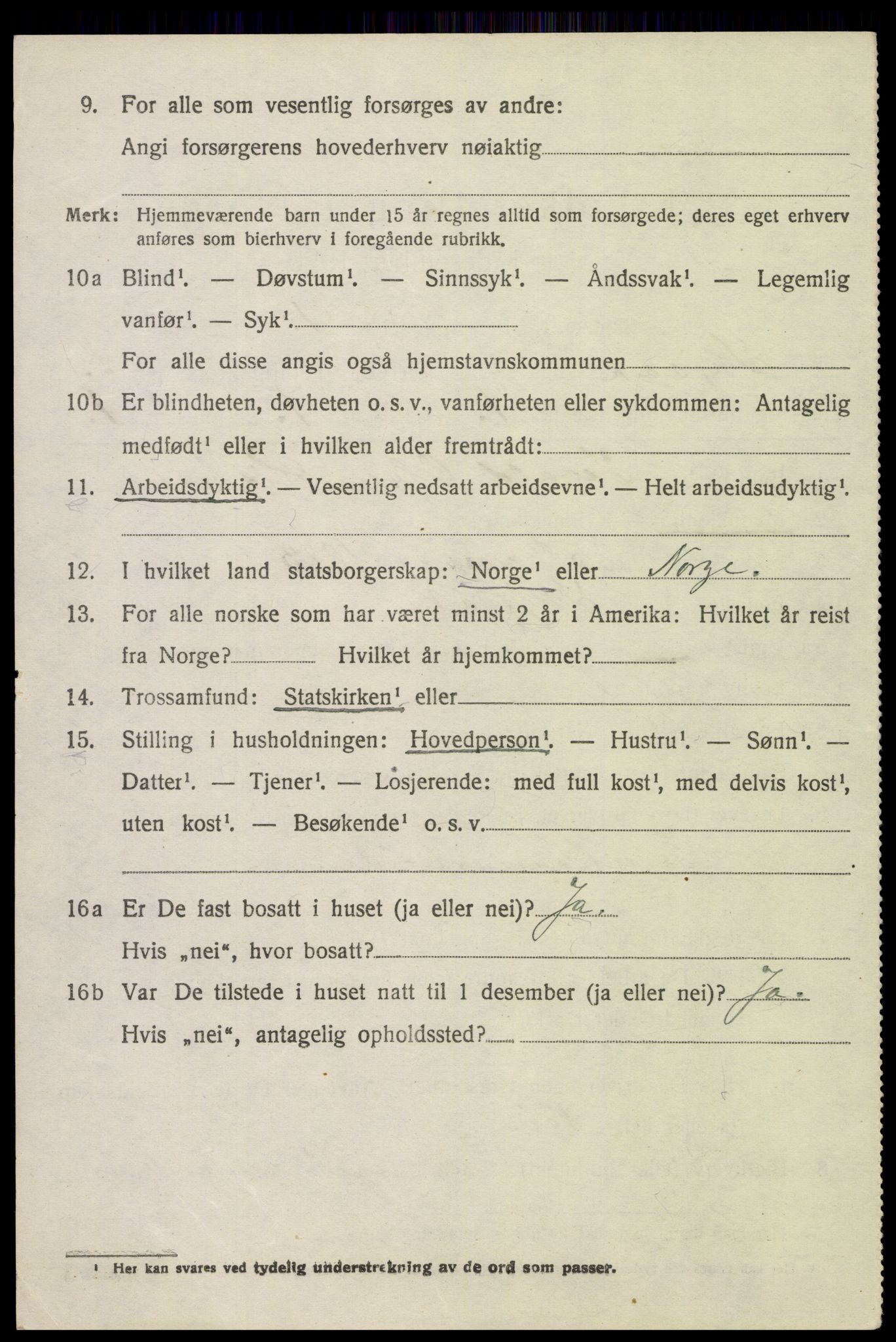 SAH, 1920 census for Skjåk, 1920, p. 821