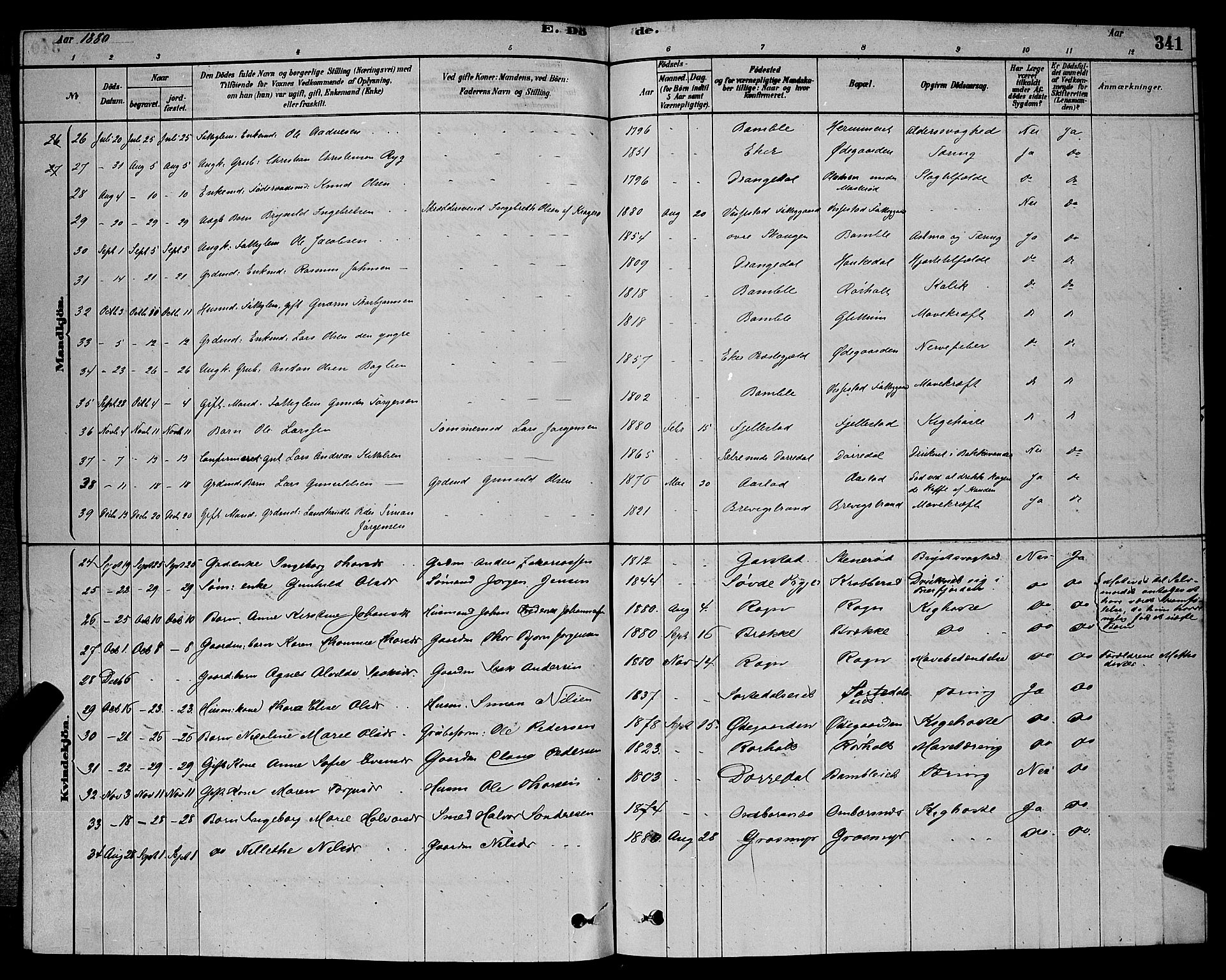 Bamble kirkebøker, AV/SAKO-A-253/G/Ga/L0008: Parish register (copy) no. I 8, 1878-1888, p. 341