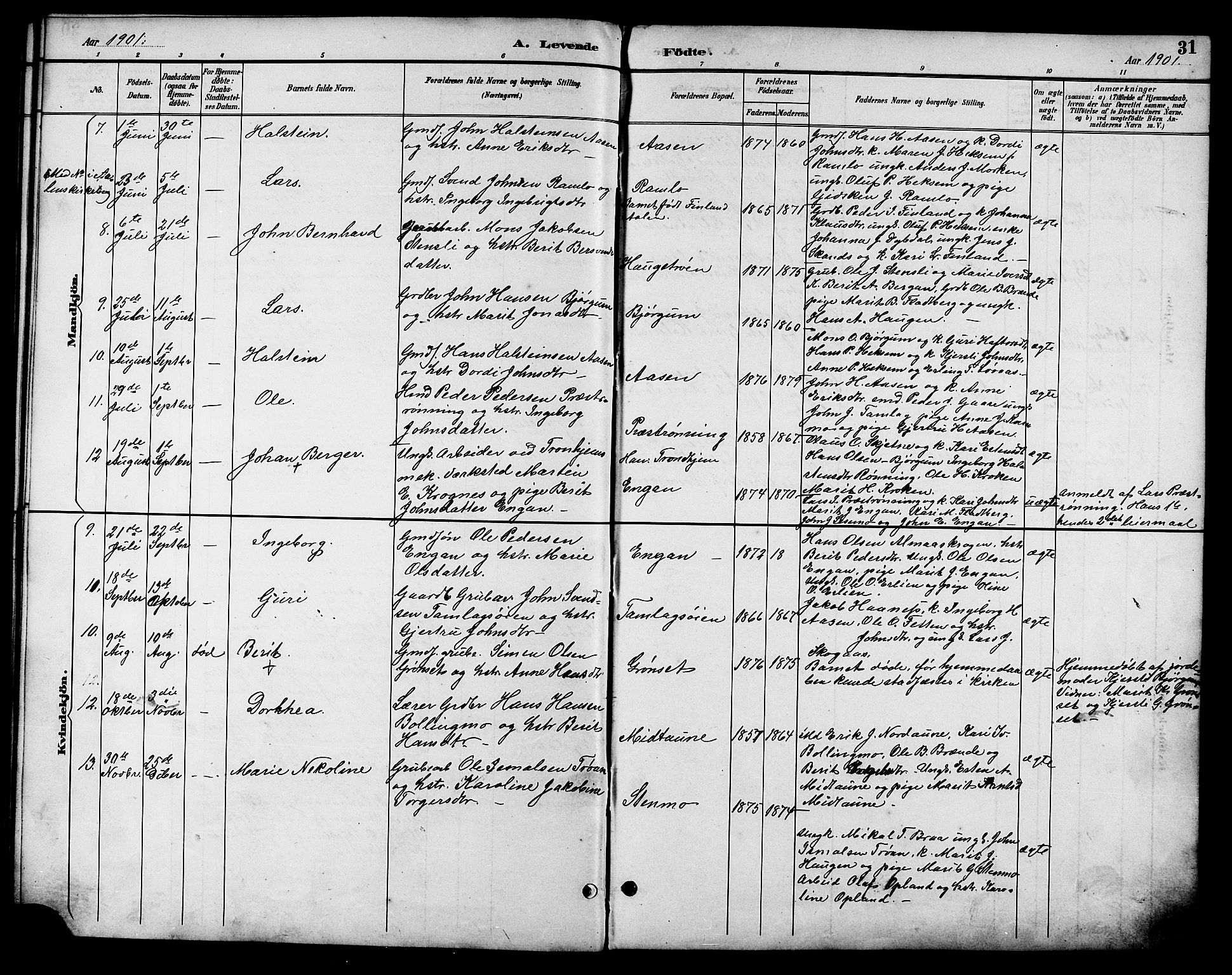 Ministerialprotokoller, klokkerbøker og fødselsregistre - Sør-Trøndelag, AV/SAT-A-1456/685/L0978: Parish register (copy) no. 685C03, 1891-1907, p. 31