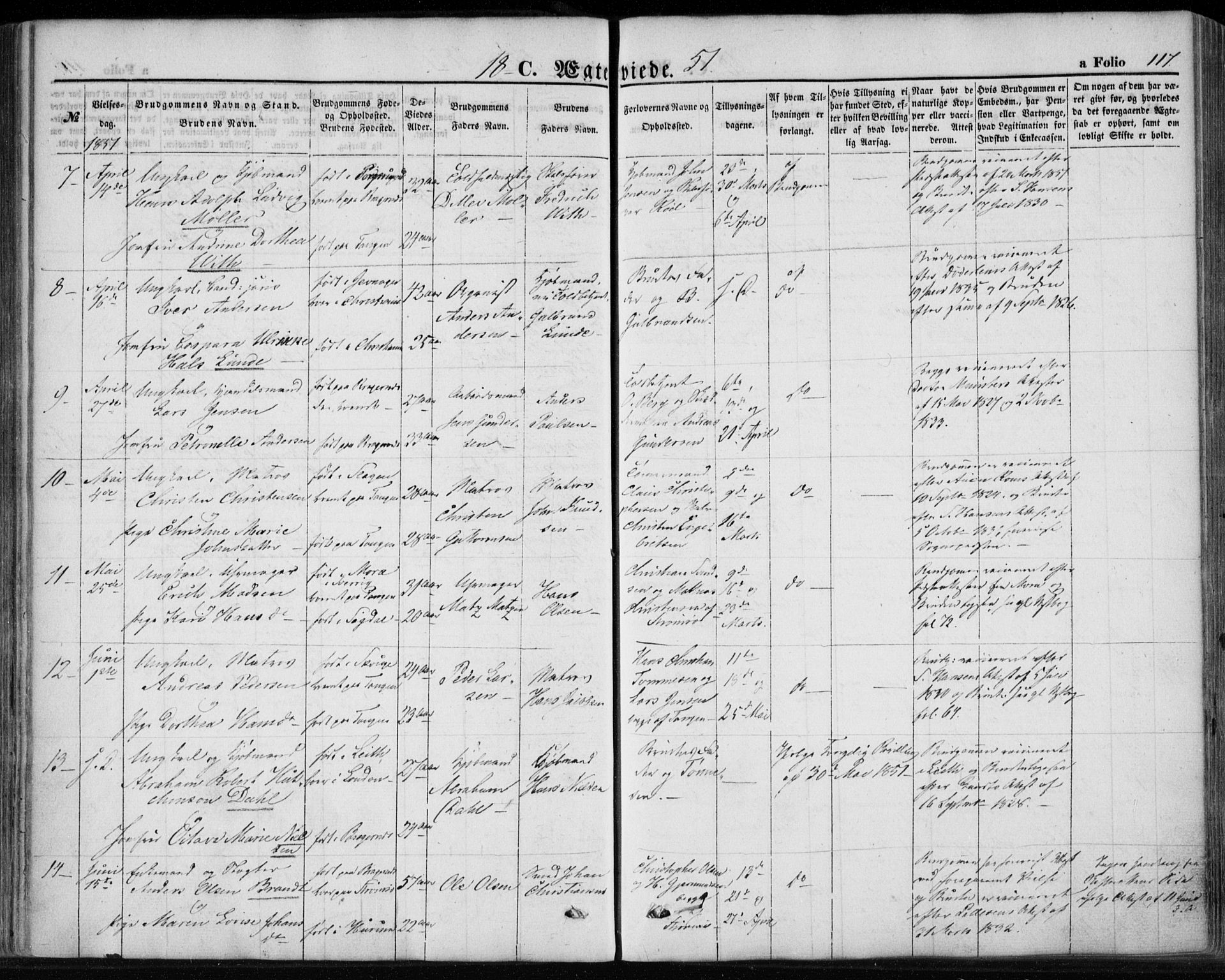 Strømsø kirkebøker, AV/SAKO-A-246/F/Fa/L0017: Parish register (official) no. I 17, 1848-1865, p. 117