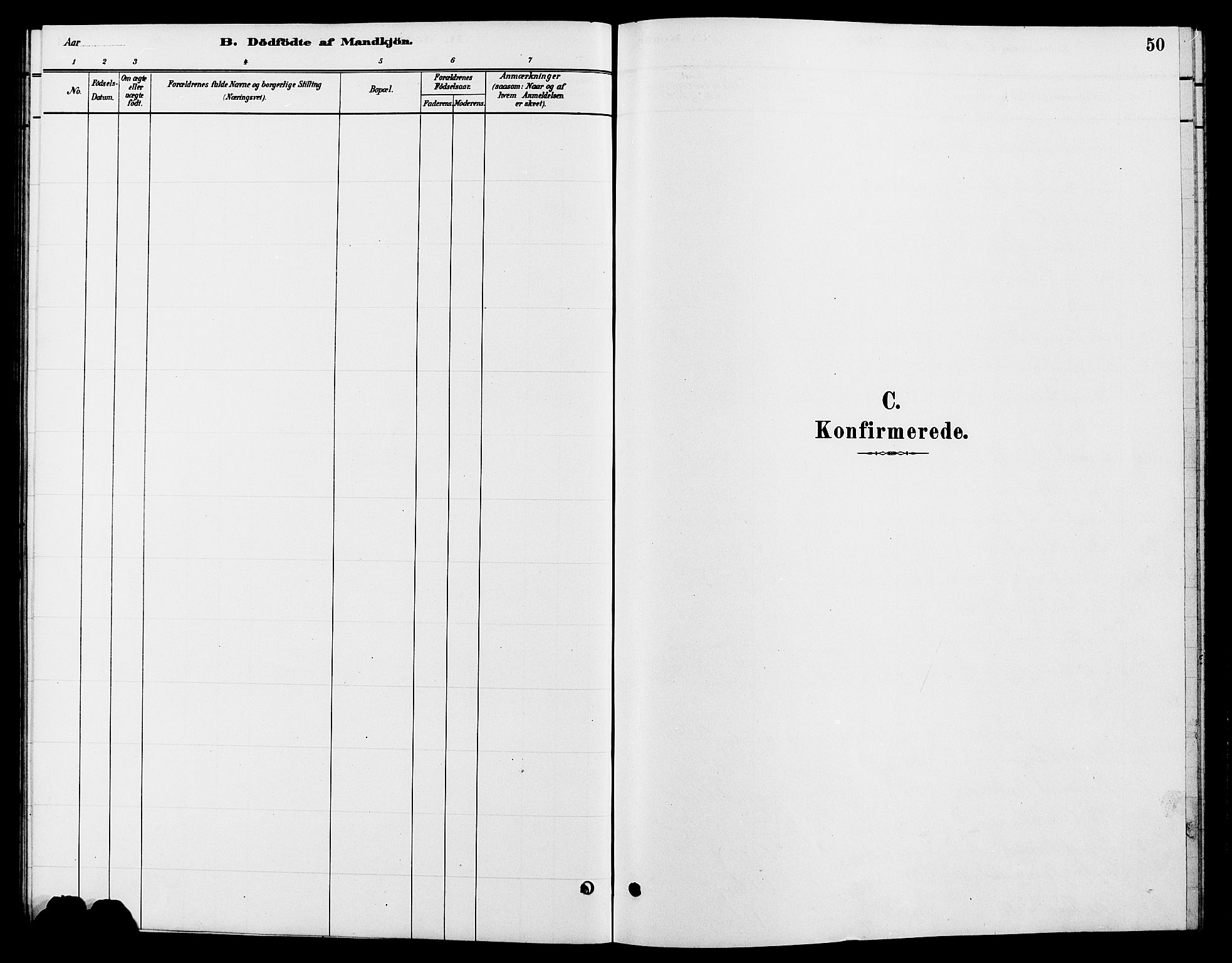 Tynset prestekontor, SAH/PREST-058/H/Ha/Hab/L0007: Parish register (copy) no. 7, 1880-1901, p. 50