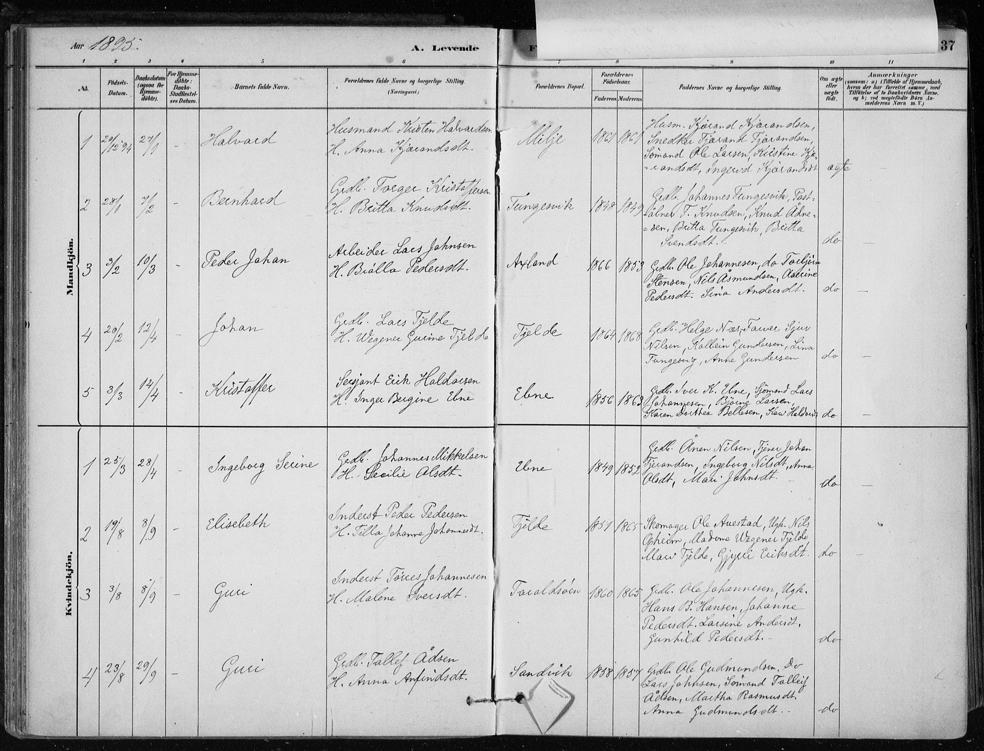 Skånevik sokneprestembete, AV/SAB-A-77801/H/Haa: Parish register (official) no. B 1, 1879-1914, p. 37