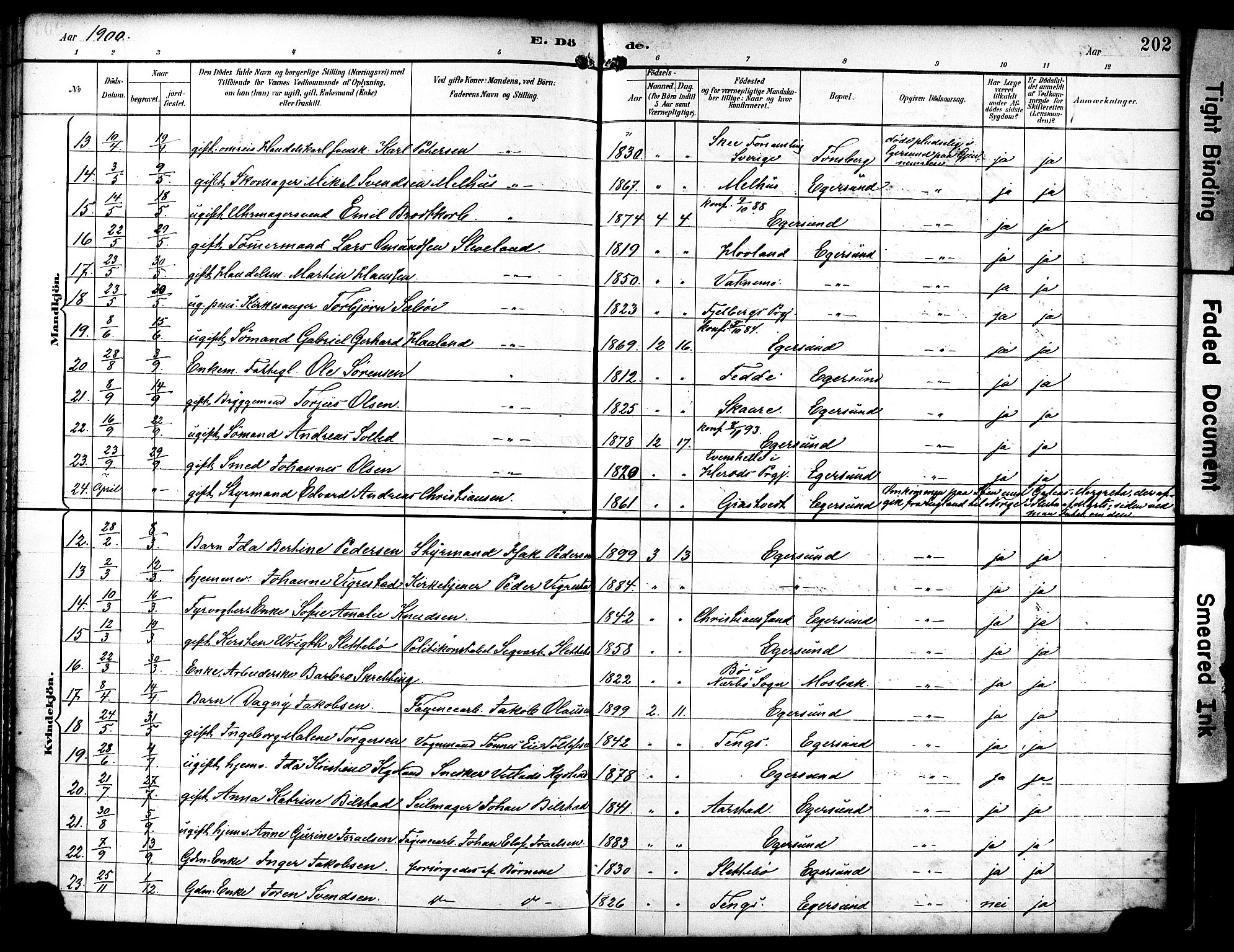 Eigersund sokneprestkontor, AV/SAST-A-101807/S08/L0019: Parish register (official) no. A 18, 1892-1905, p. 202