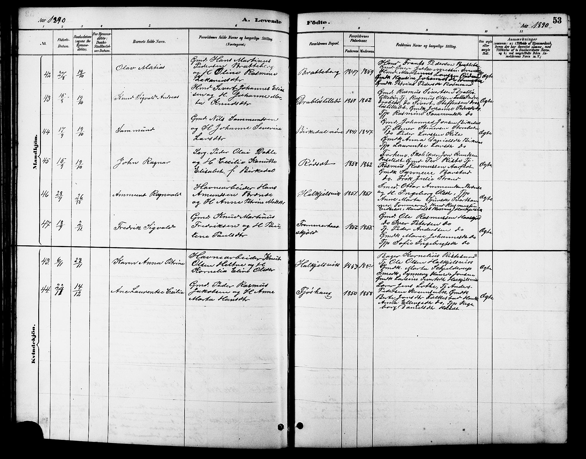 Ministerialprotokoller, klokkerbøker og fødselsregistre - Møre og Romsdal, AV/SAT-A-1454/511/L0158: Parish register (copy) no. 511C04, 1884-1903, p. 53