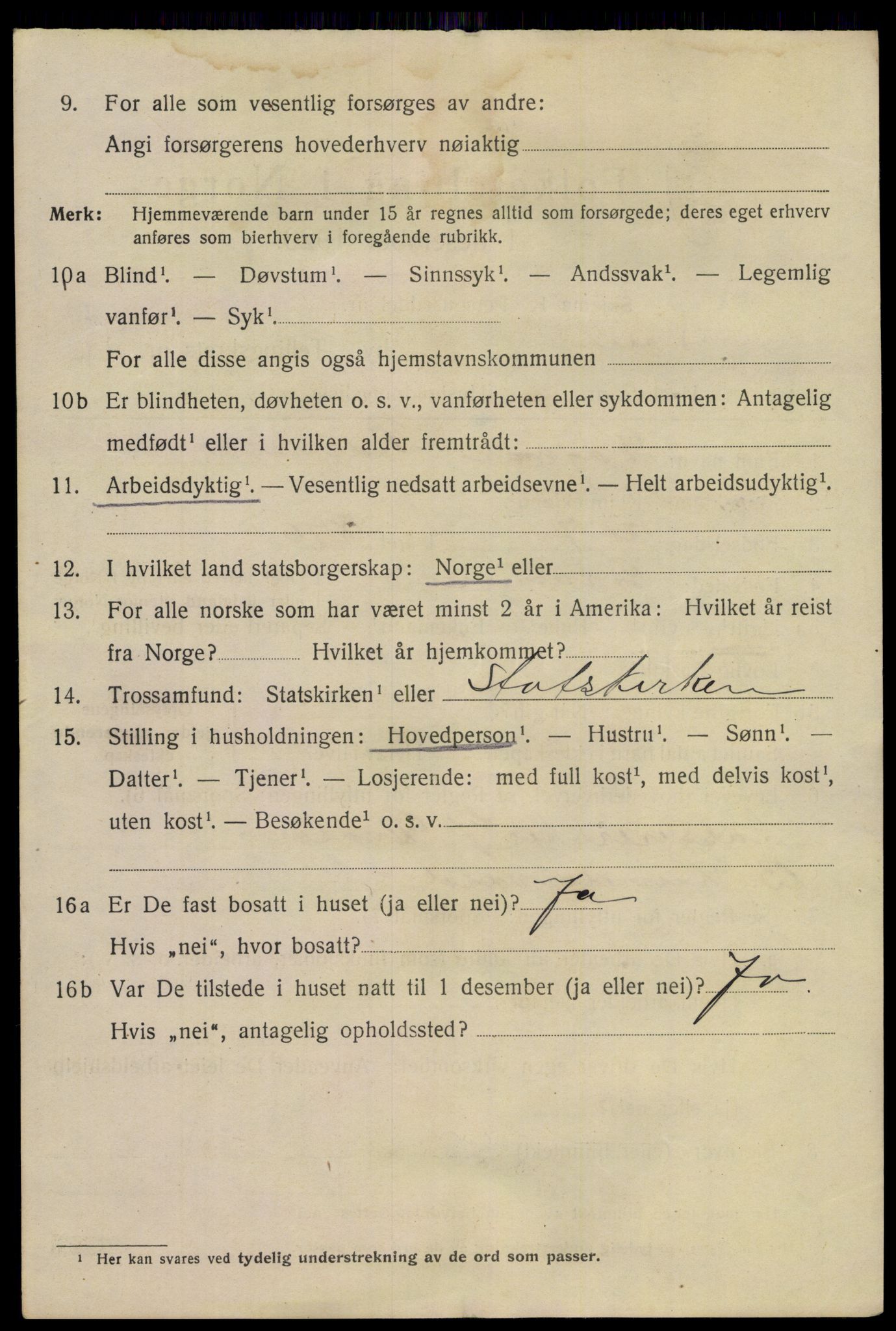 SAKO, 1920 census for Skien, 1920, p. 19491