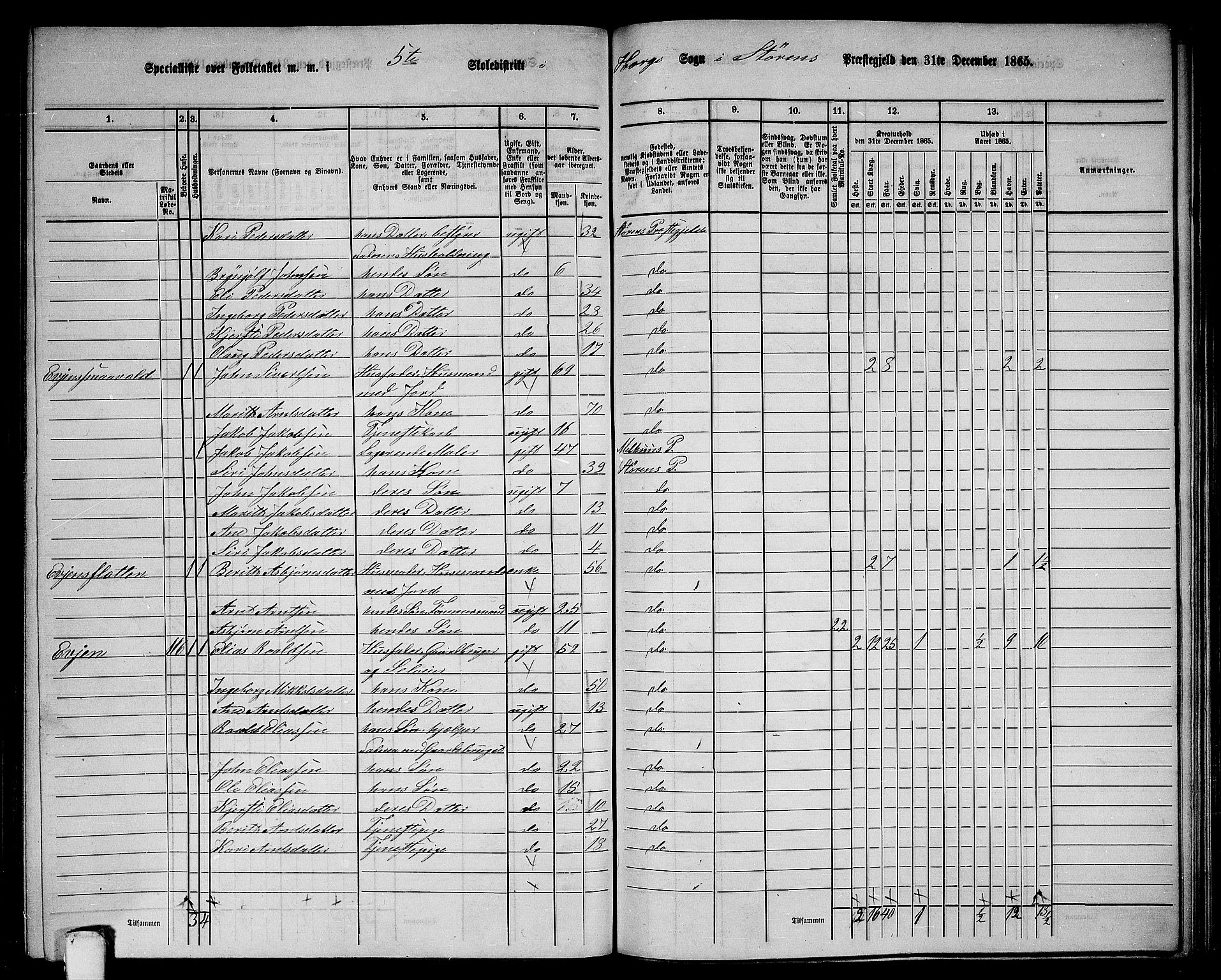 RA, 1865 census for Støren, 1865, p. 198