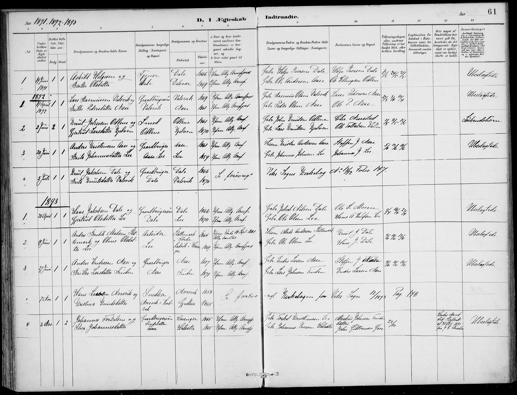 Vik sokneprestembete, AV/SAB-A-81501/H/Haa/Haac/L0002: Parish register (official) no. C  2, 1891-1910, p. 61