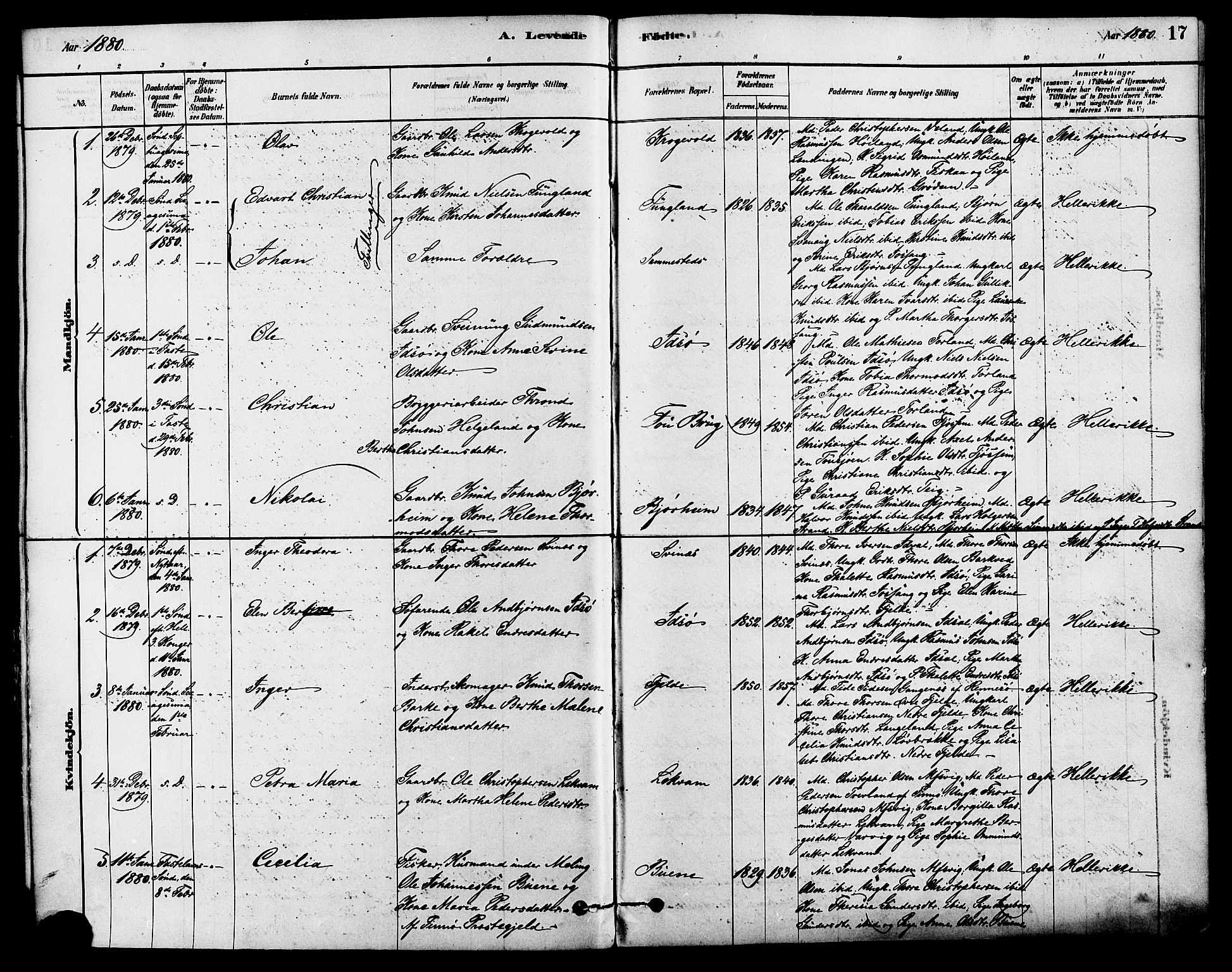 Strand sokneprestkontor, SAST/A-101828/H/Ha/Haa/L0009: Parish register (official) no. A 9, 1877-1908, p. 17