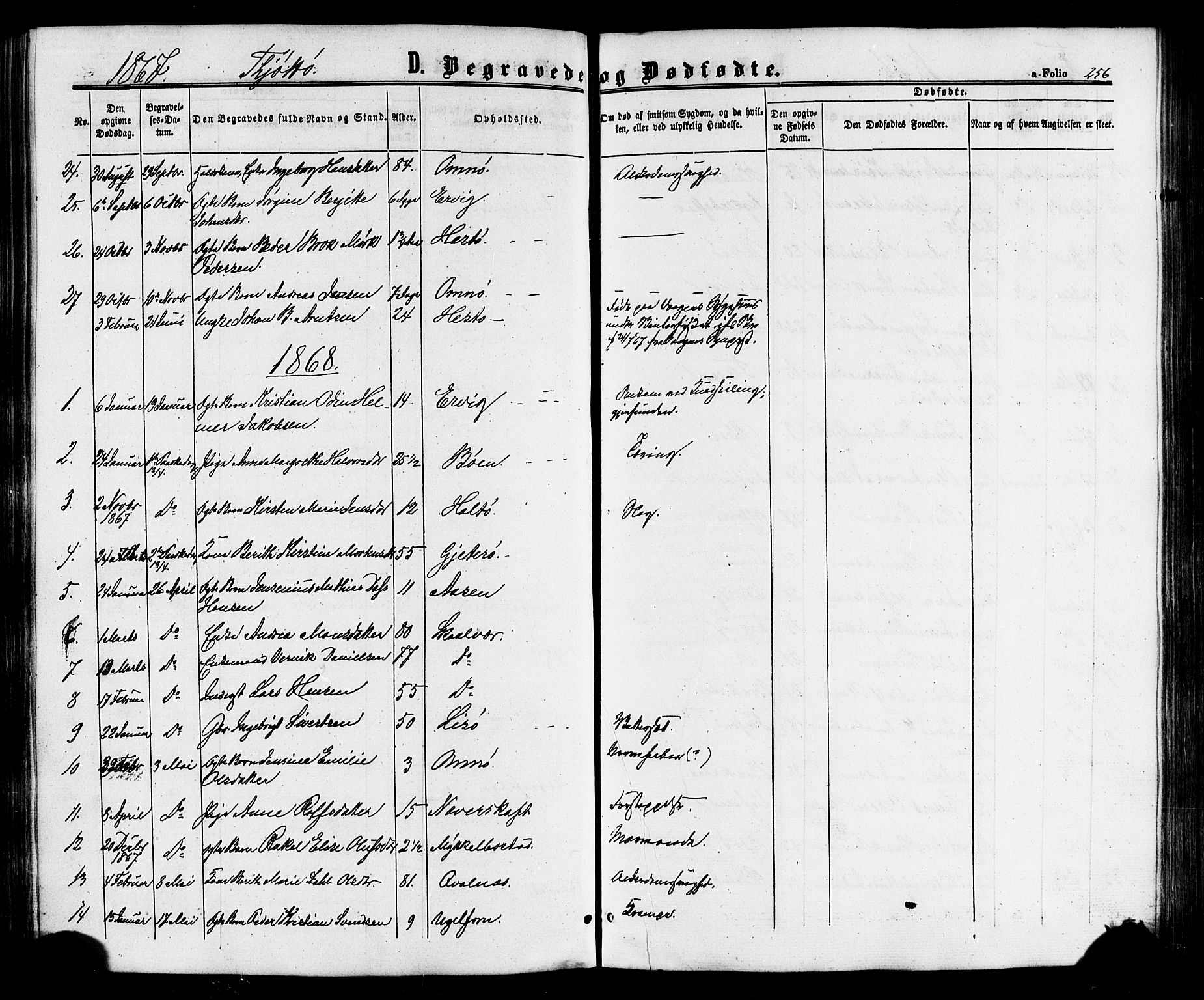 Ministerialprotokoller, klokkerbøker og fødselsregistre - Nordland, SAT/A-1459/817/L0262: Parish register (official) no. 817A03/ 1, 1862-1877, p. 256
