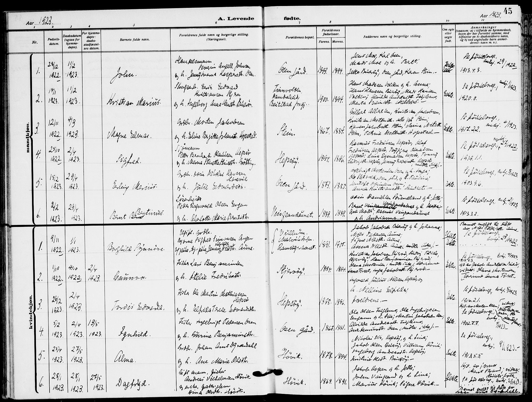 Ministerialprotokoller, klokkerbøker og fødselsregistre - Sør-Trøndelag, SAT/A-1456/658/L0724: Parish register (official) no. 658A03, 1912-1924, p. 45