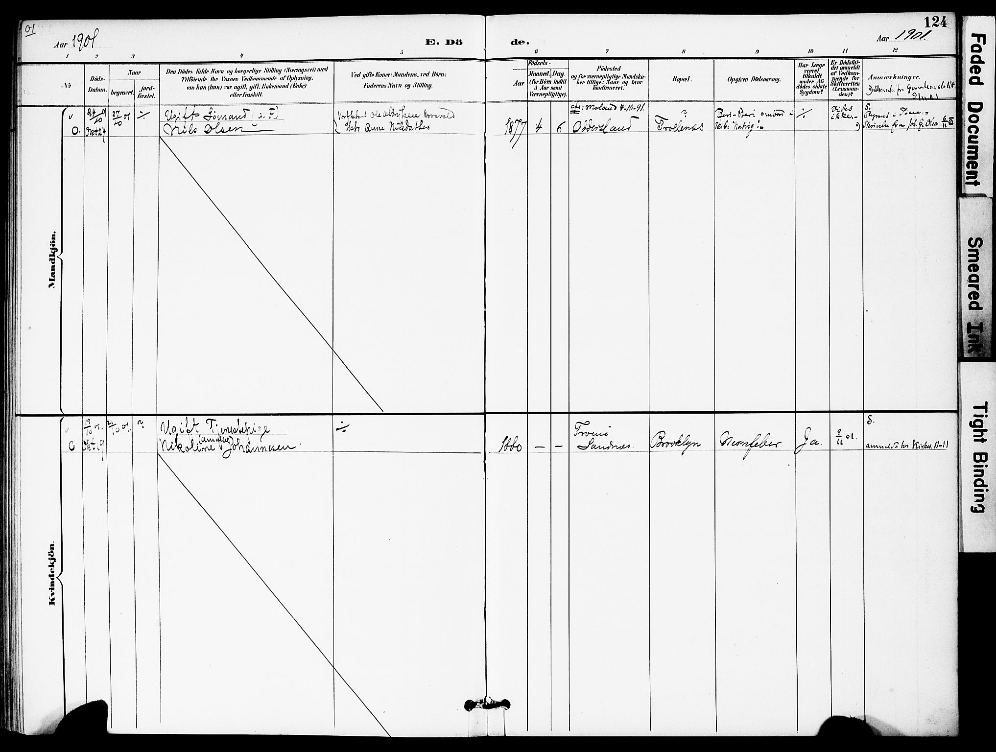 Austre Moland sokneprestkontor, SAK/1111-0001/F/Fa/Fab/L0002: Parish register (official) no. A 2, 1894-1919, p. 124