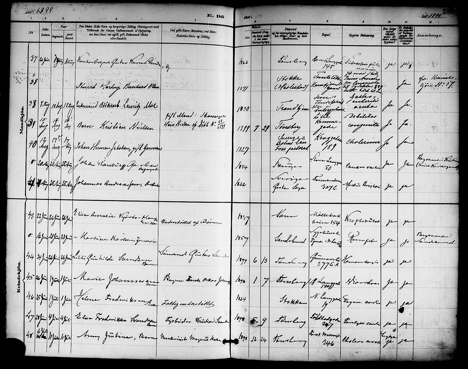 Tønsberg kirkebøker, SAKO/A-330/F/Fa/L0012: Parish register (official) no. I 12, 1891-1899, p. 388