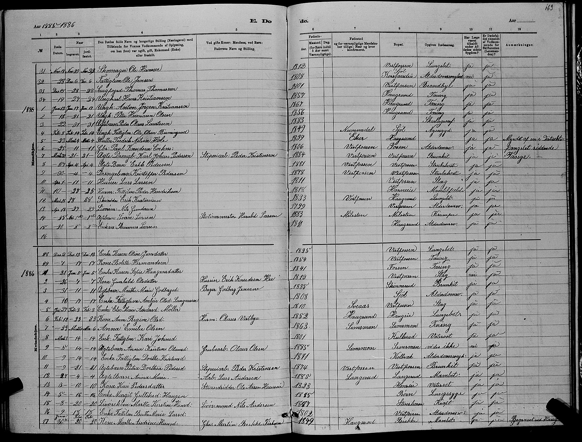 Eiker kirkebøker, SAKO/A-4/G/Ga/L0005: Parish register (copy) no. I 5, 1878-1887, p. 163