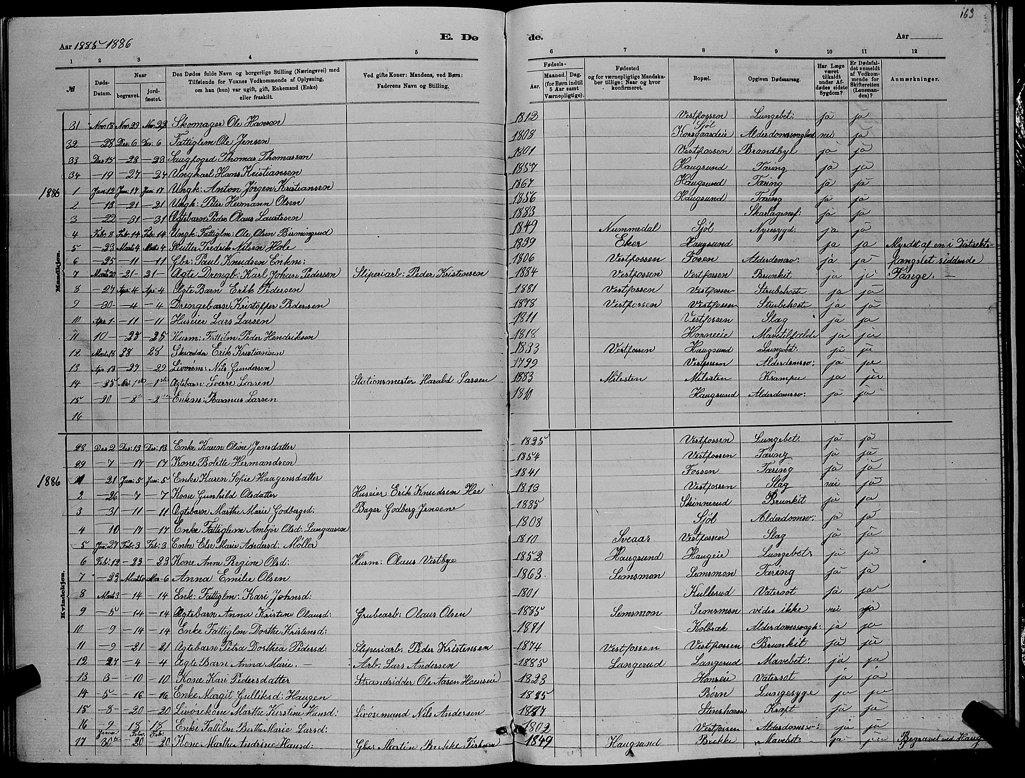 Eiker kirkebøker, AV/SAKO-A-4/G/Ga/L0005: Parish register (copy) no. I 5, 1878-1887, p. 163