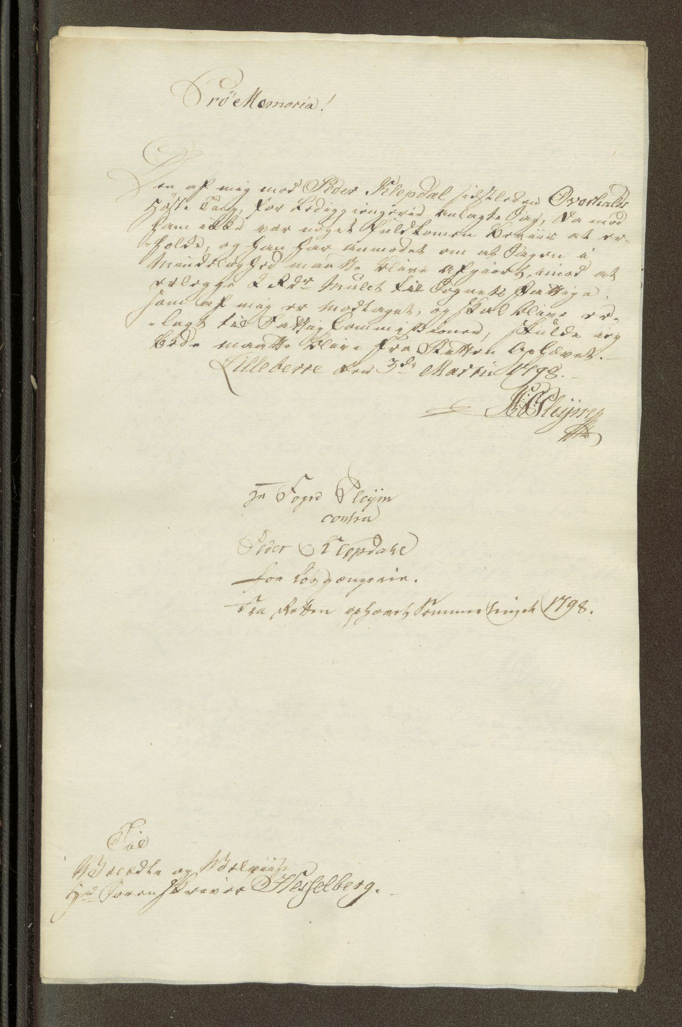 Namdal sorenskriveri, SAT/A-4133/1/1/1O/1Oa/L0007: Sivile og offentlige saker, 1798, p. 364