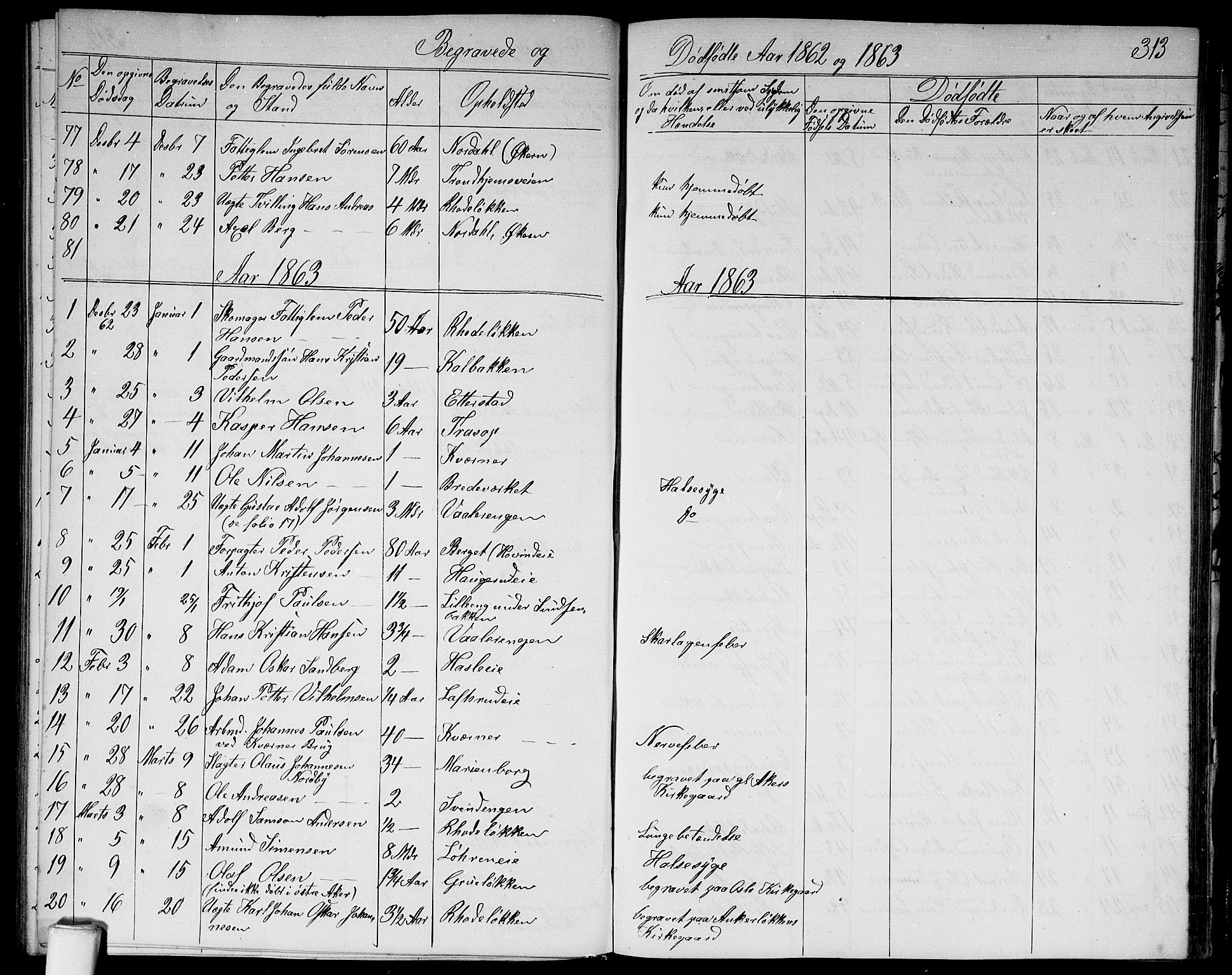 Østre Aker prestekontor Kirkebøker, SAO/A-10840/G/Ga/L0002: Parish register (copy) no. I 2, 1861-1867, p. 313