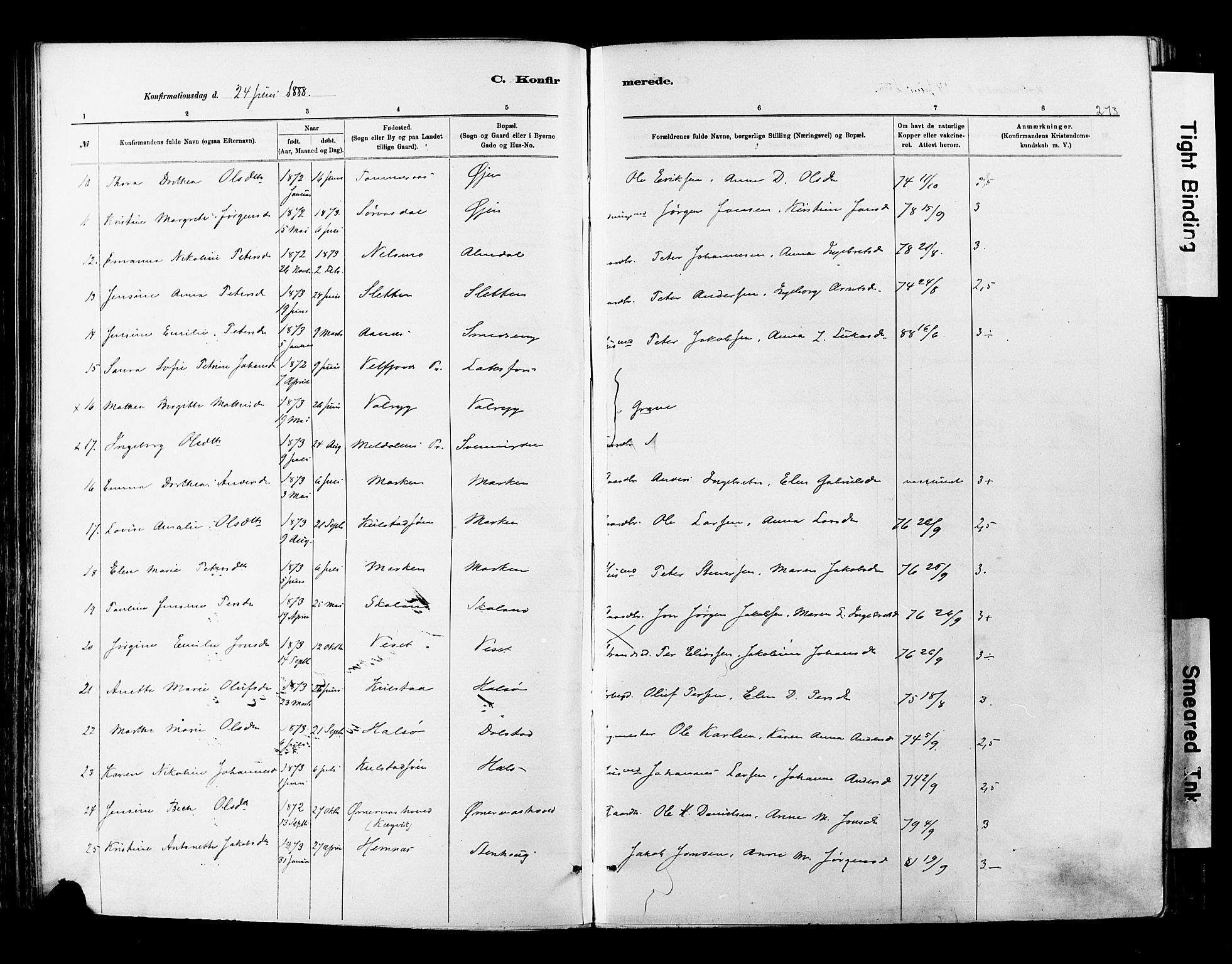 Ministerialprotokoller, klokkerbøker og fødselsregistre - Nordland, AV/SAT-A-1459/820/L0295: Parish register (official) no. 820A16, 1880-1896, p. 213