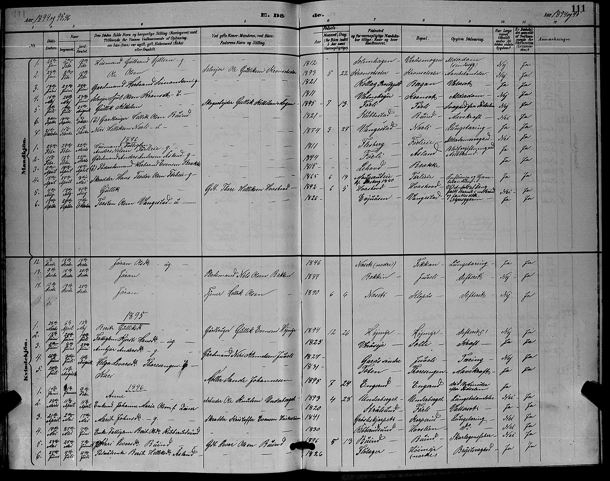 Flesberg kirkebøker, SAKO/A-18/G/Ga/L0004: Parish register (copy) no. I 4 /1, 1890-1898, p. 111