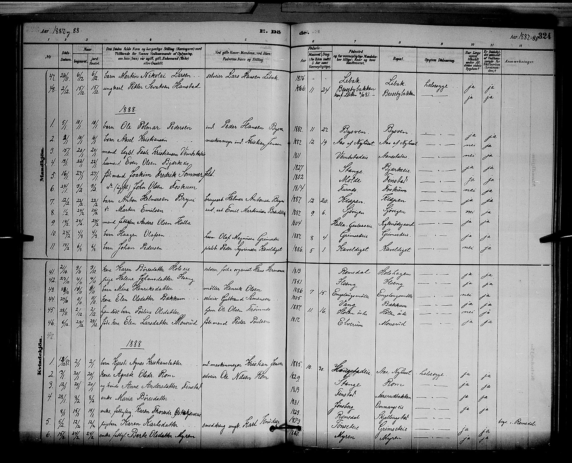 Løten prestekontor, SAH/PREST-022/L/La/L0005: Parish register (copy) no. 5, 1878-1891, p. 324