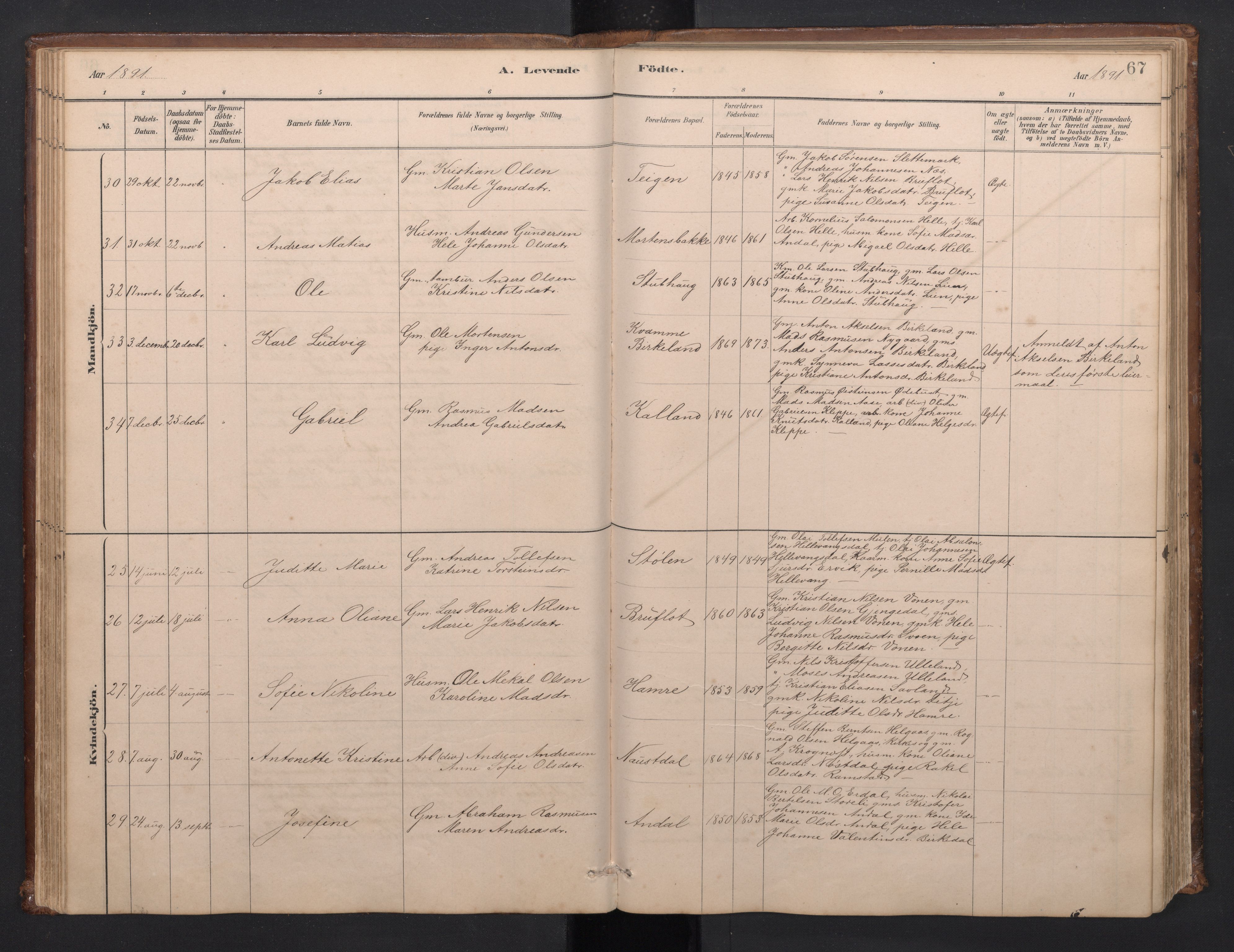 Førde sokneprestembete, SAB/A-79901/H/Hab/Habd/L0003: Parish register (copy) no. D 3, 1881-1897, p. 66b-67a