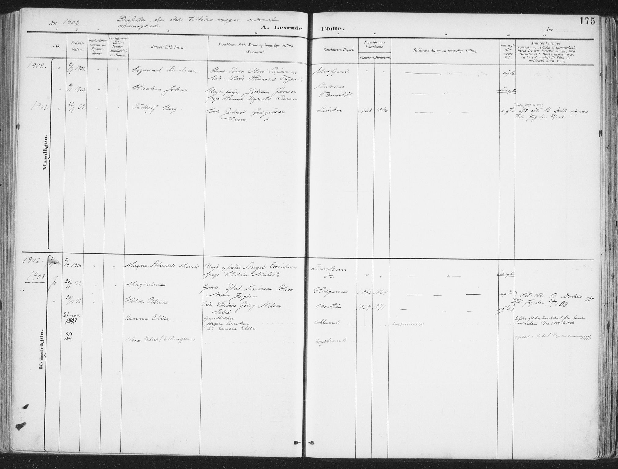Ministerialprotokoller, klokkerbøker og fødselsregistre - Nordland, SAT/A-1459/888/L1246: Parish register (official) no. 888A12, 1891-1903, p. 175