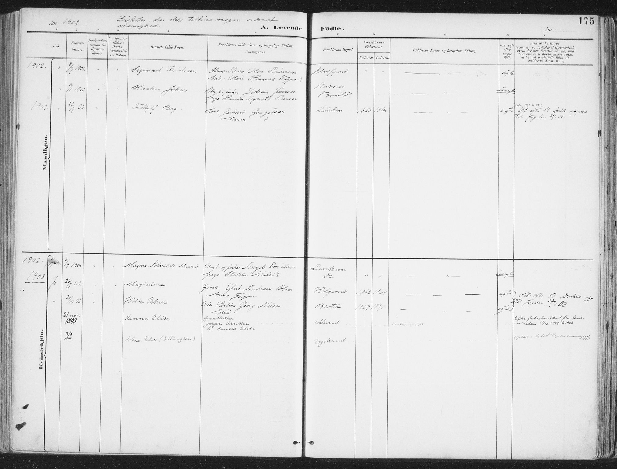 Ministerialprotokoller, klokkerbøker og fødselsregistre - Nordland, AV/SAT-A-1459/888/L1246: Parish register (official) no. 888A12, 1891-1903, p. 175