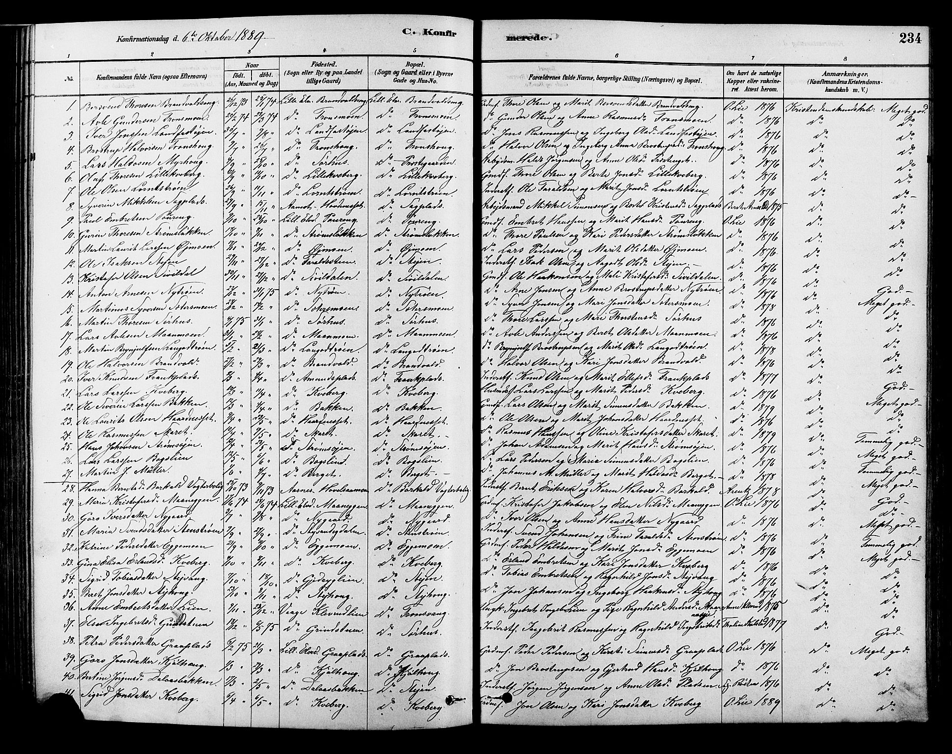 Alvdal prestekontor, AV/SAH-PREST-060/H/Ha/Hab/L0003: Parish register (copy) no. 3, 1878-1907, p. 234