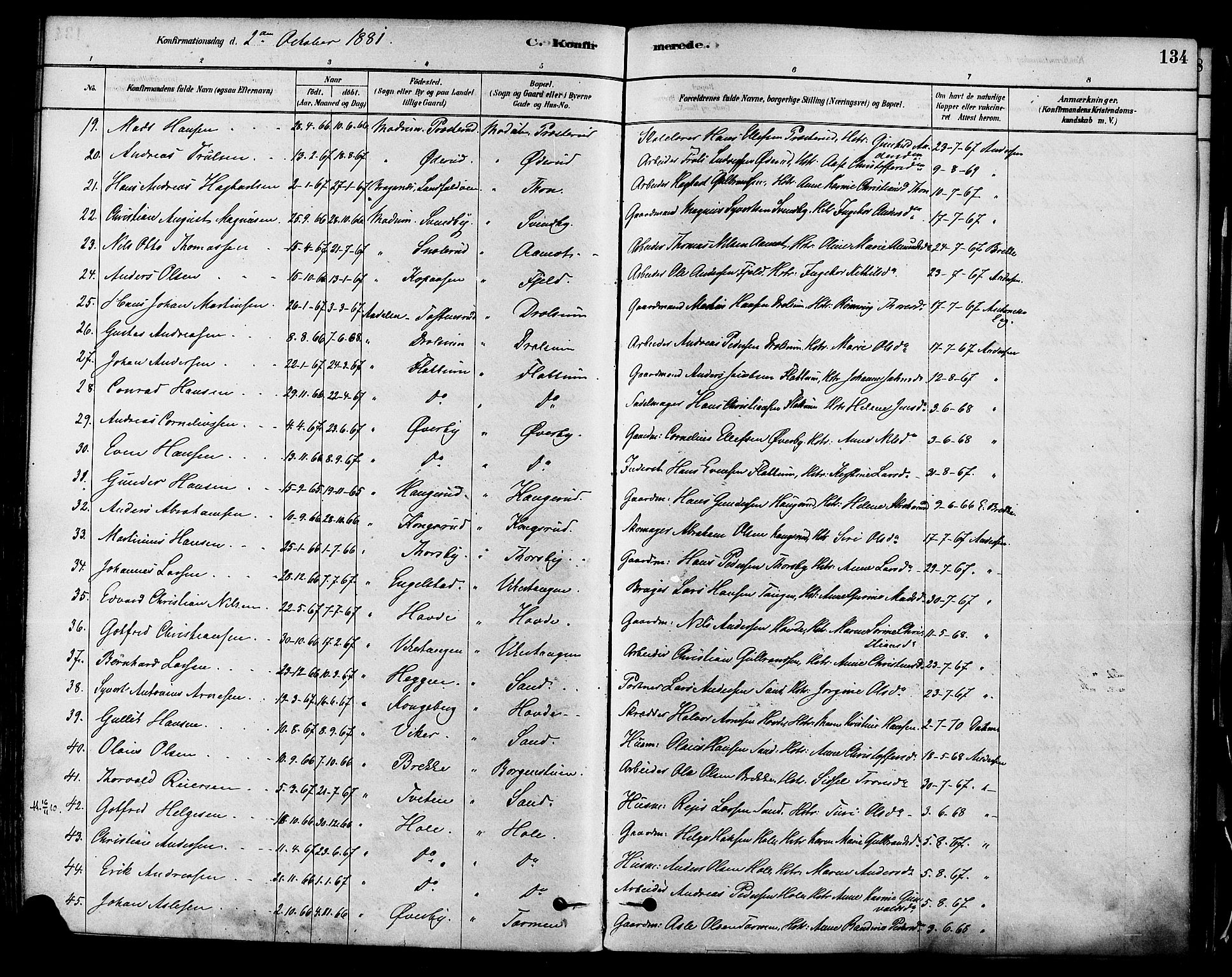 Modum kirkebøker, AV/SAKO-A-234/F/Fa/L0011: Parish register (official) no. 11, 1877-1889, p. 134