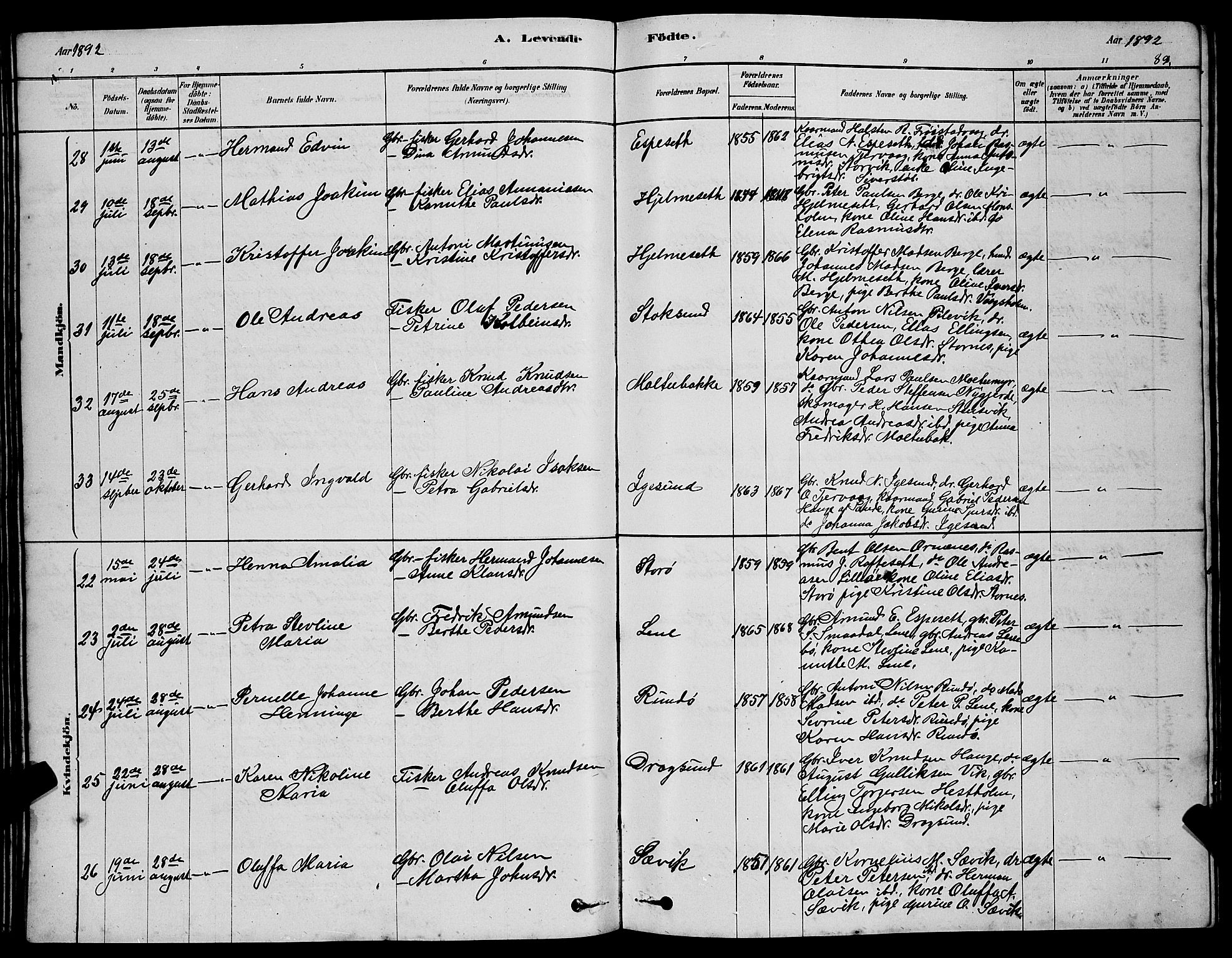 Ministerialprotokoller, klokkerbøker og fødselsregistre - Møre og Romsdal, AV/SAT-A-1454/507/L0081: Parish register (copy) no. 507C04, 1878-1898, p. 89