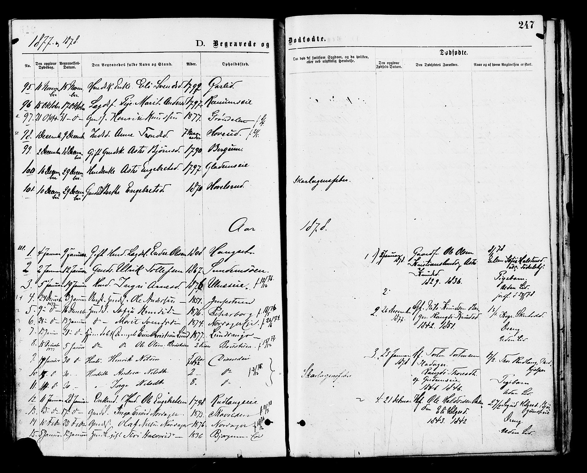 Nord-Aurdal prestekontor, SAH/PREST-132/H/Ha/Haa/L0009: Parish register (official) no. 9, 1876-1882, p. 247