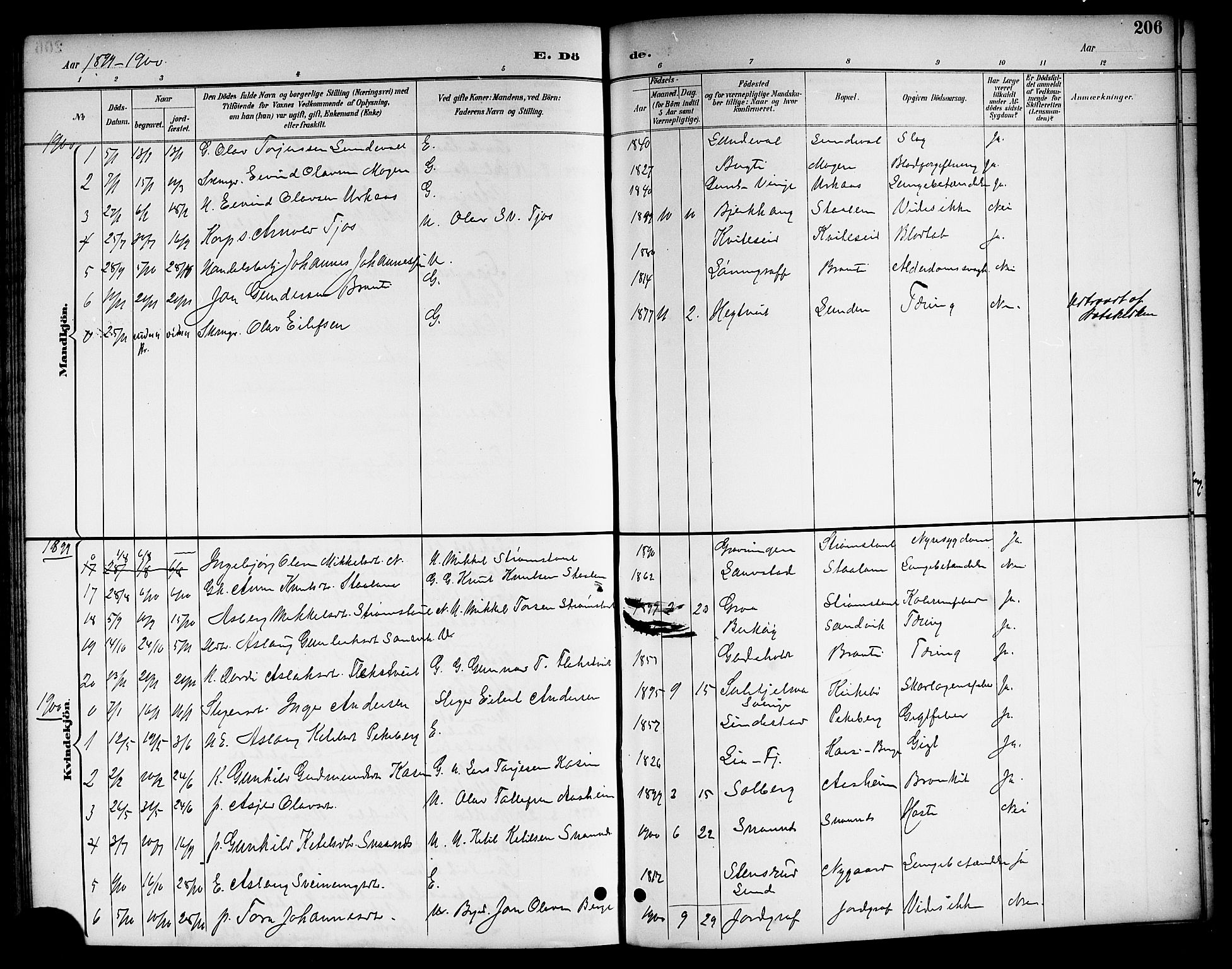 Kviteseid kirkebøker, SAKO/A-276/G/Ga/L0002: Parish register (copy) no. I 2, 1893-1918, p. 206