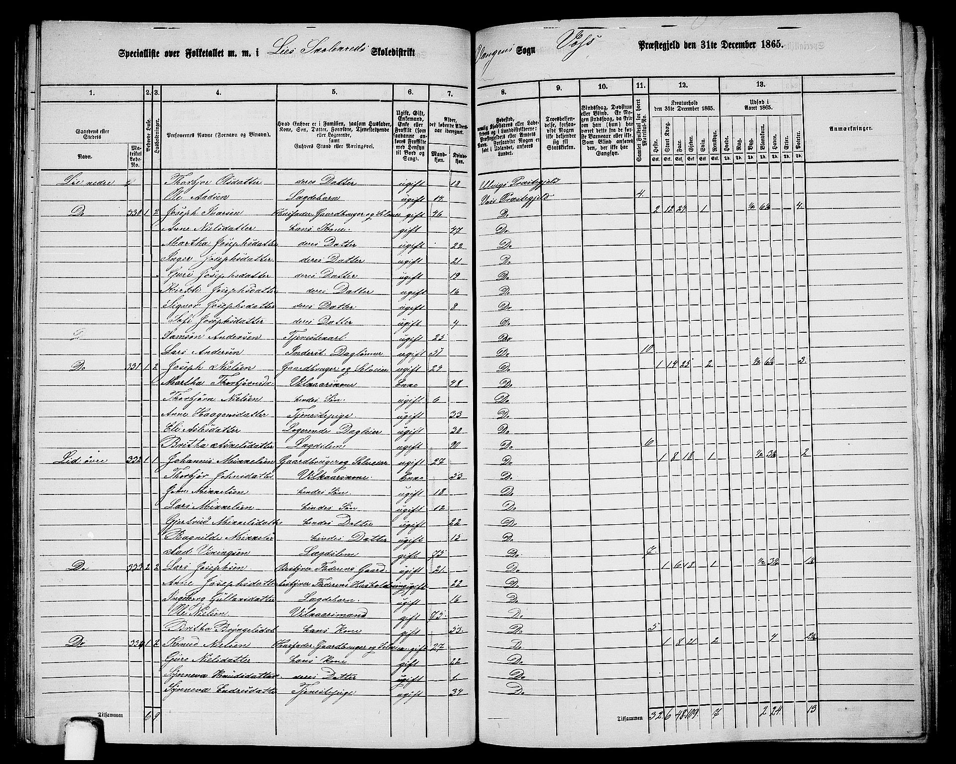 RA, 1865 census for Voss, 1865, p. 155