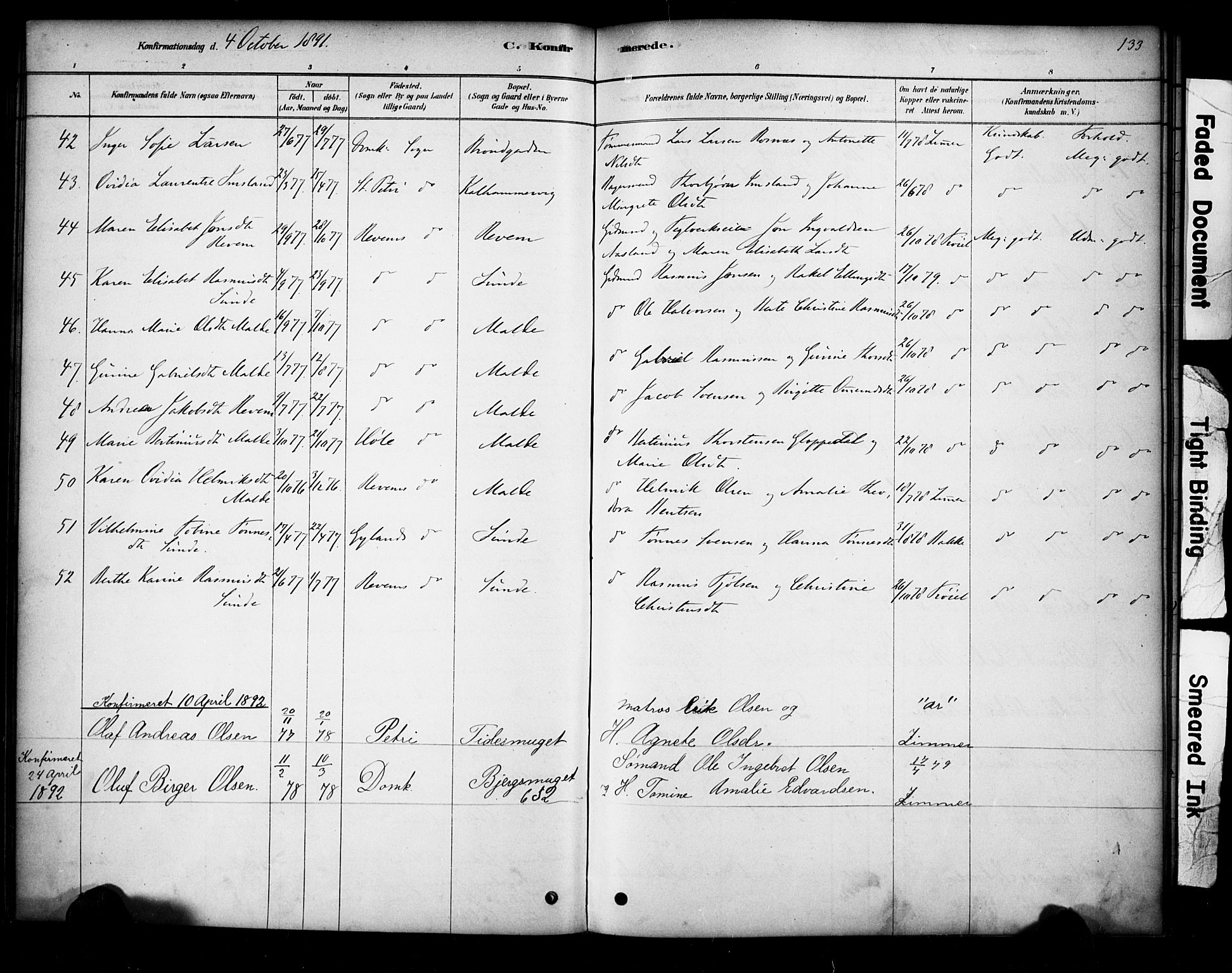 Domkirken sokneprestkontor, AV/SAST-A-101812/001/30/30BA/L0028: Parish register (official) no. A 27, 1878-1896, p. 133