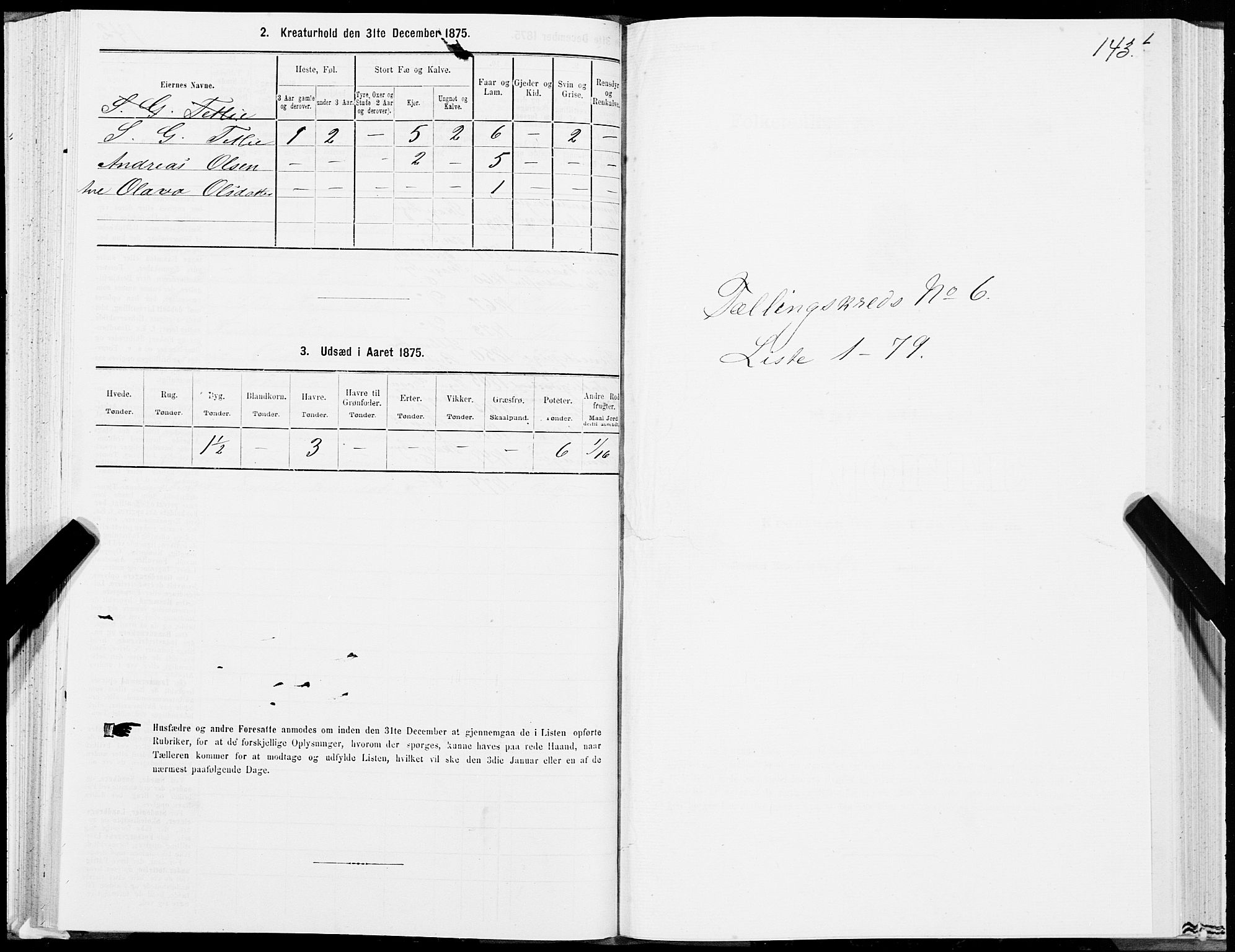 SAT, 1875 census for 1744P Overhalla, 1875, p. 3143