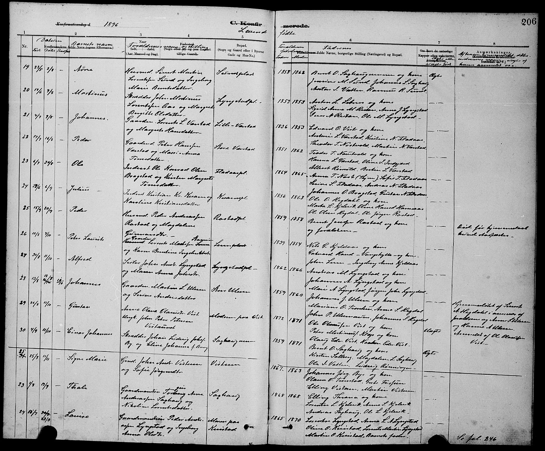 Ministerialprotokoller, klokkerbøker og fødselsregistre - Nord-Trøndelag, AV/SAT-A-1458/730/L0301: Parish register (copy) no. 730C04, 1880-1897, p. 206