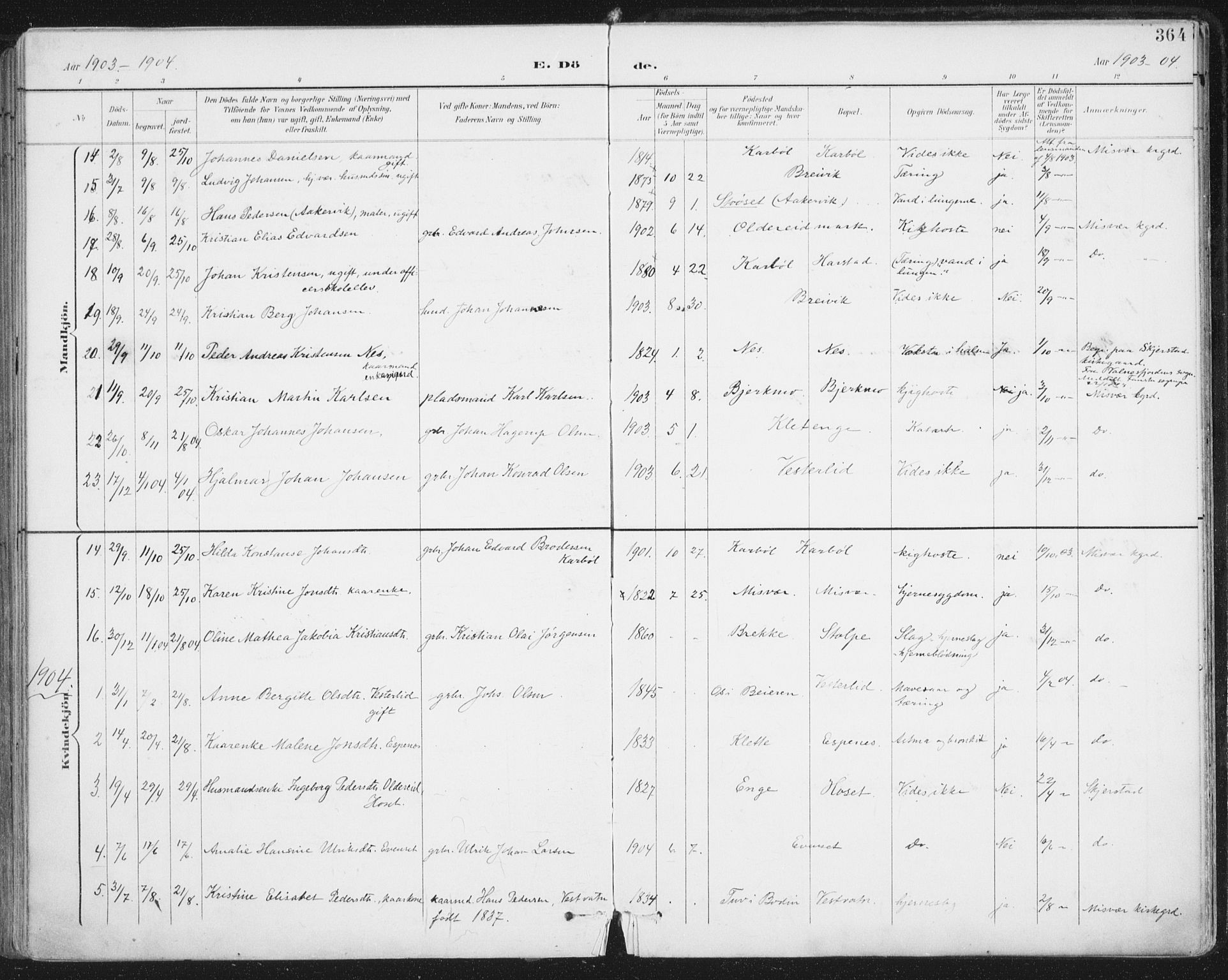 Ministerialprotokoller, klokkerbøker og fødselsregistre - Nordland, SAT/A-1459/852/L0741: Parish register (official) no. 852A11, 1894-1917, p. 364