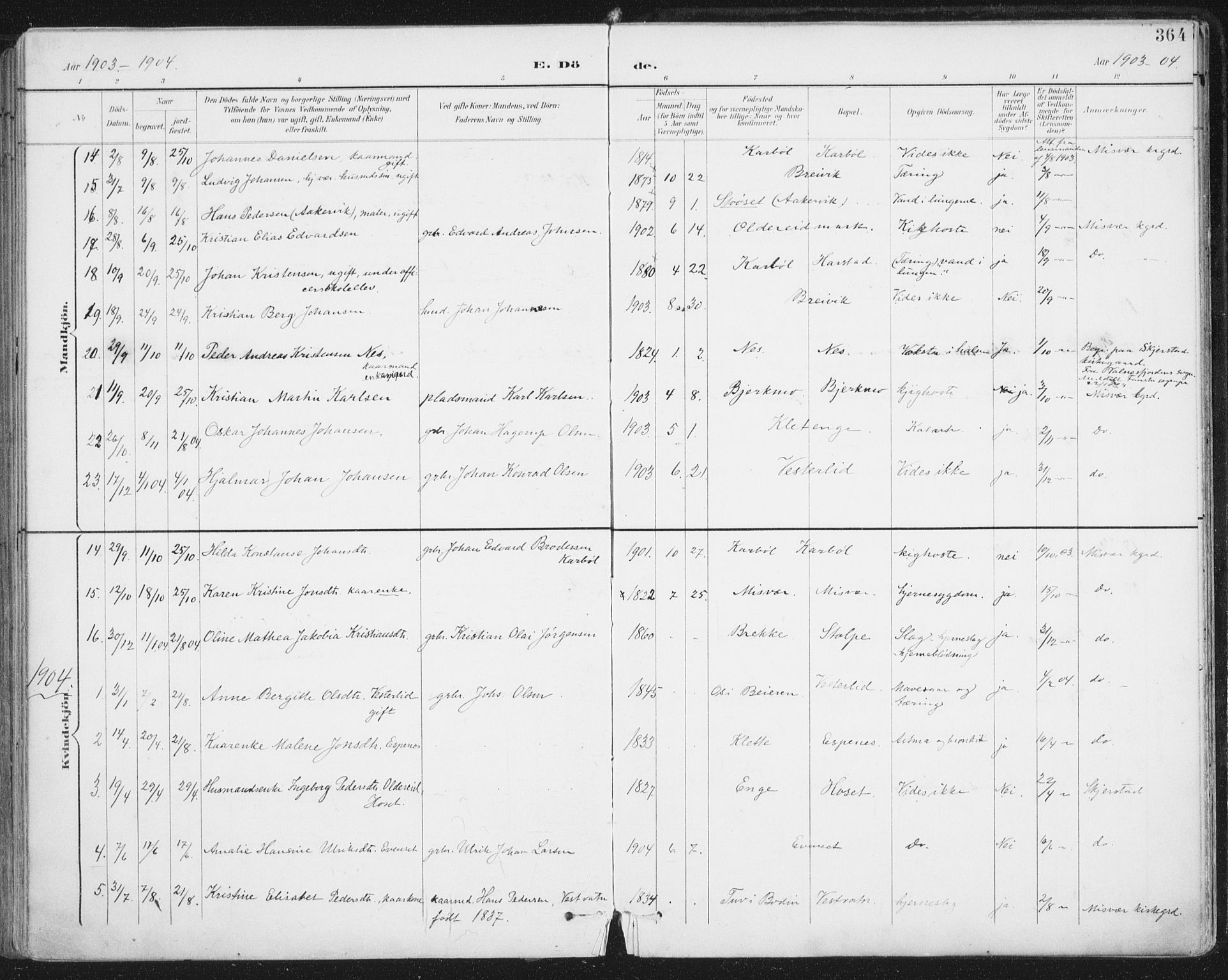 Ministerialprotokoller, klokkerbøker og fødselsregistre - Nordland, AV/SAT-A-1459/852/L0741: Parish register (official) no. 852A11, 1894-1917, p. 364