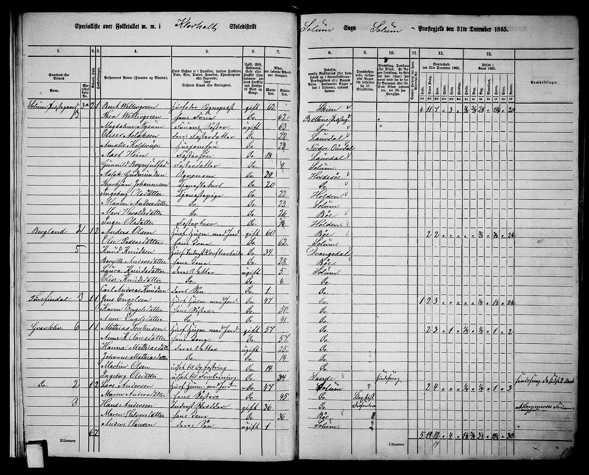 RA, 1865 census for Solum, 1865, p. 17